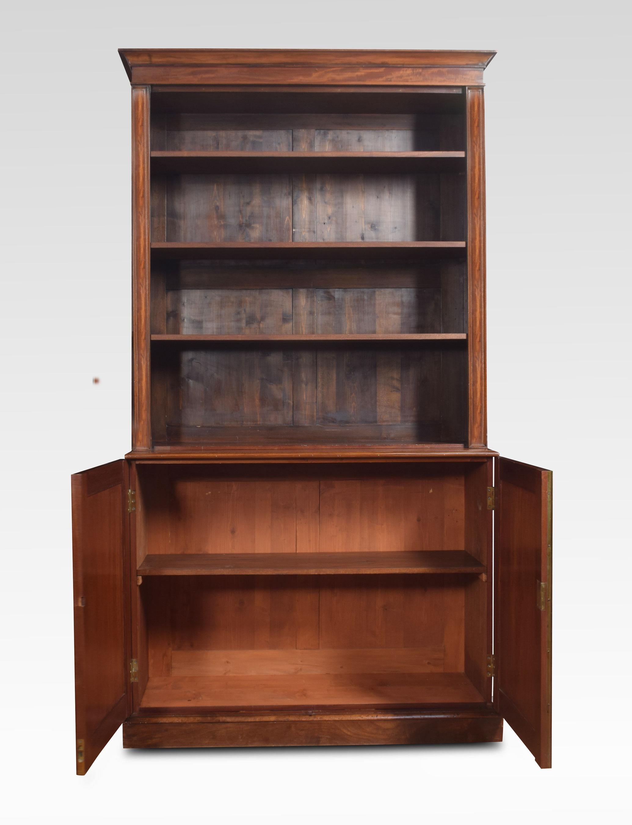 British 19th Century Mahogany Bookcase