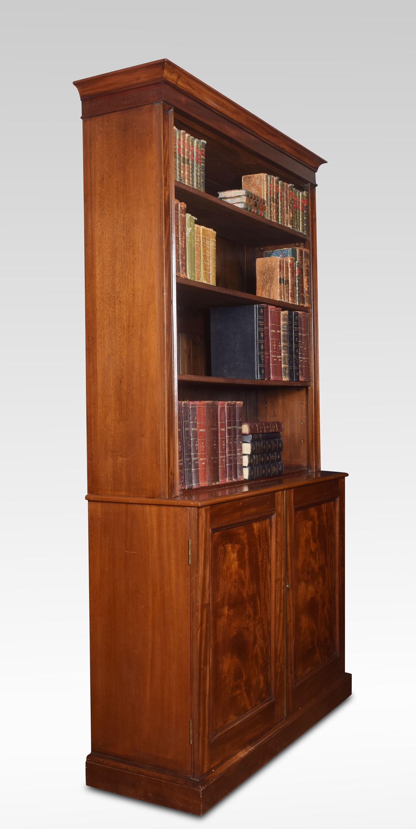 19th Century Mahogany Bookcase 3