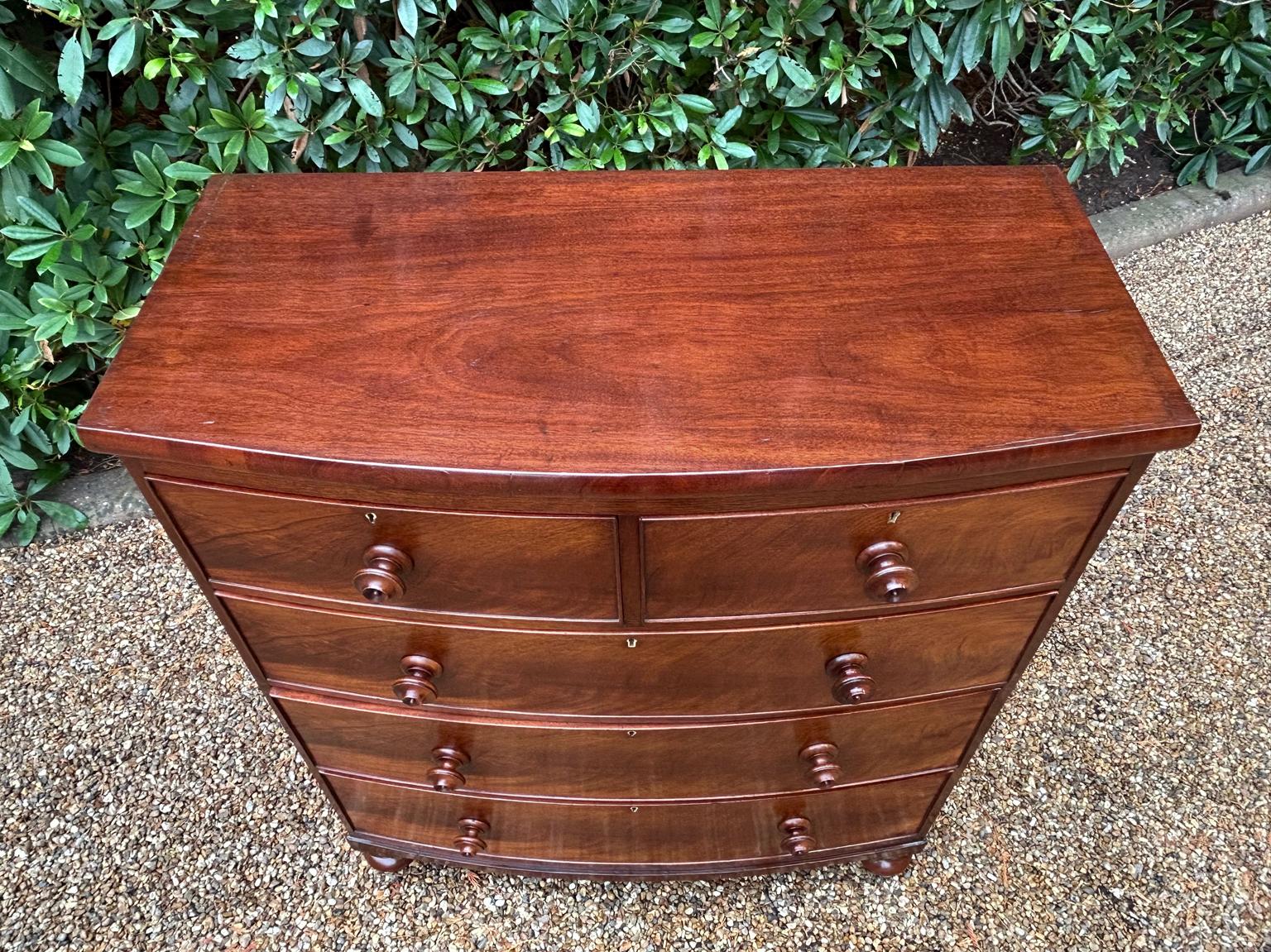 Cassettiera ad arco in mogano del XIX secolo in vendita 4