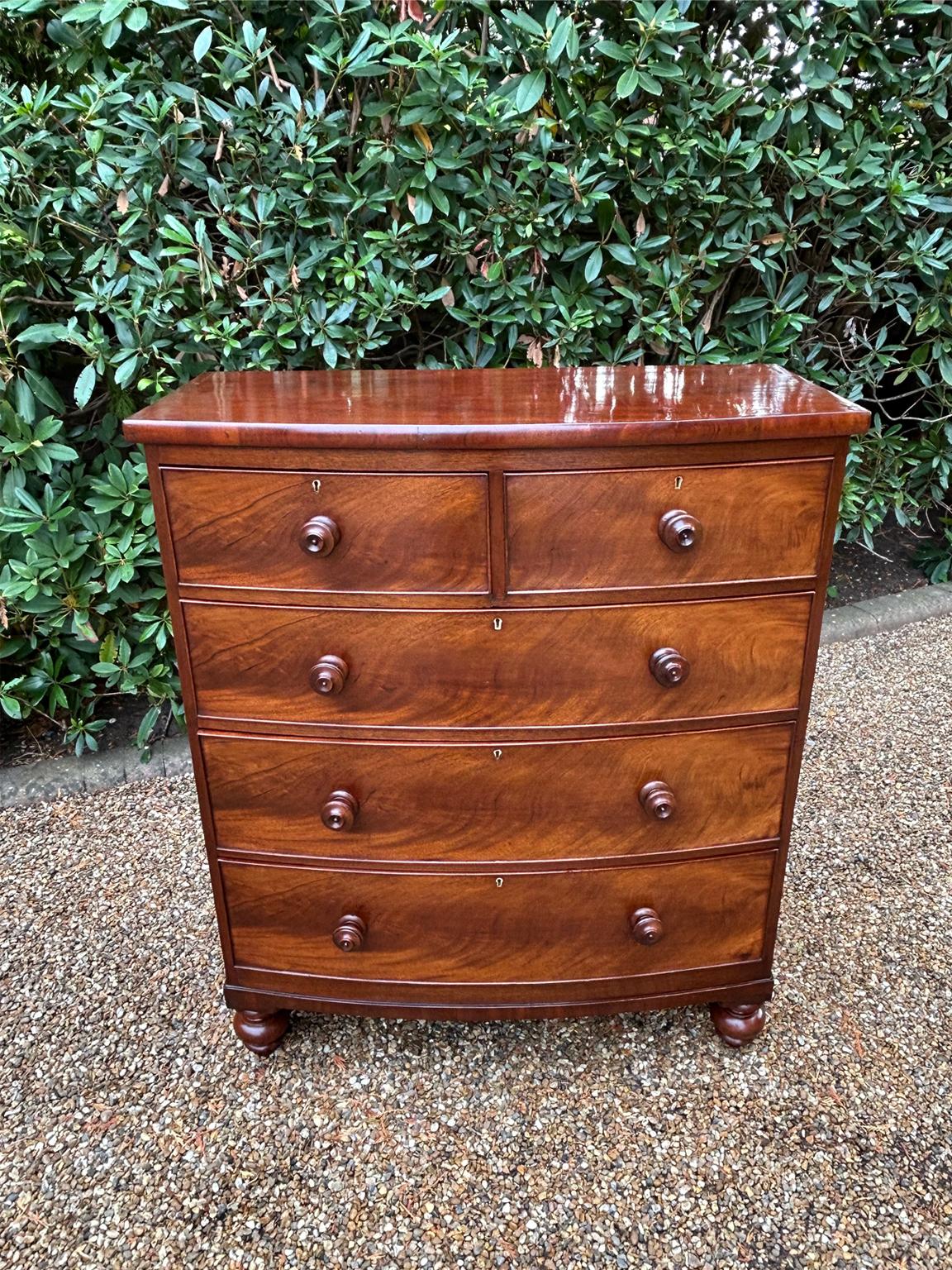 Cassettiera ad arco in mogano del XIX secolo, con due cassetti corti e tre lunghi rivestiti in quercia con maniglie a grappolo tornite e piedi torniti.

Circa: 1840

Dimensioni:
Altezza:  47,25 pollici - 120 cm
Larghezza:   40 pollici - 102