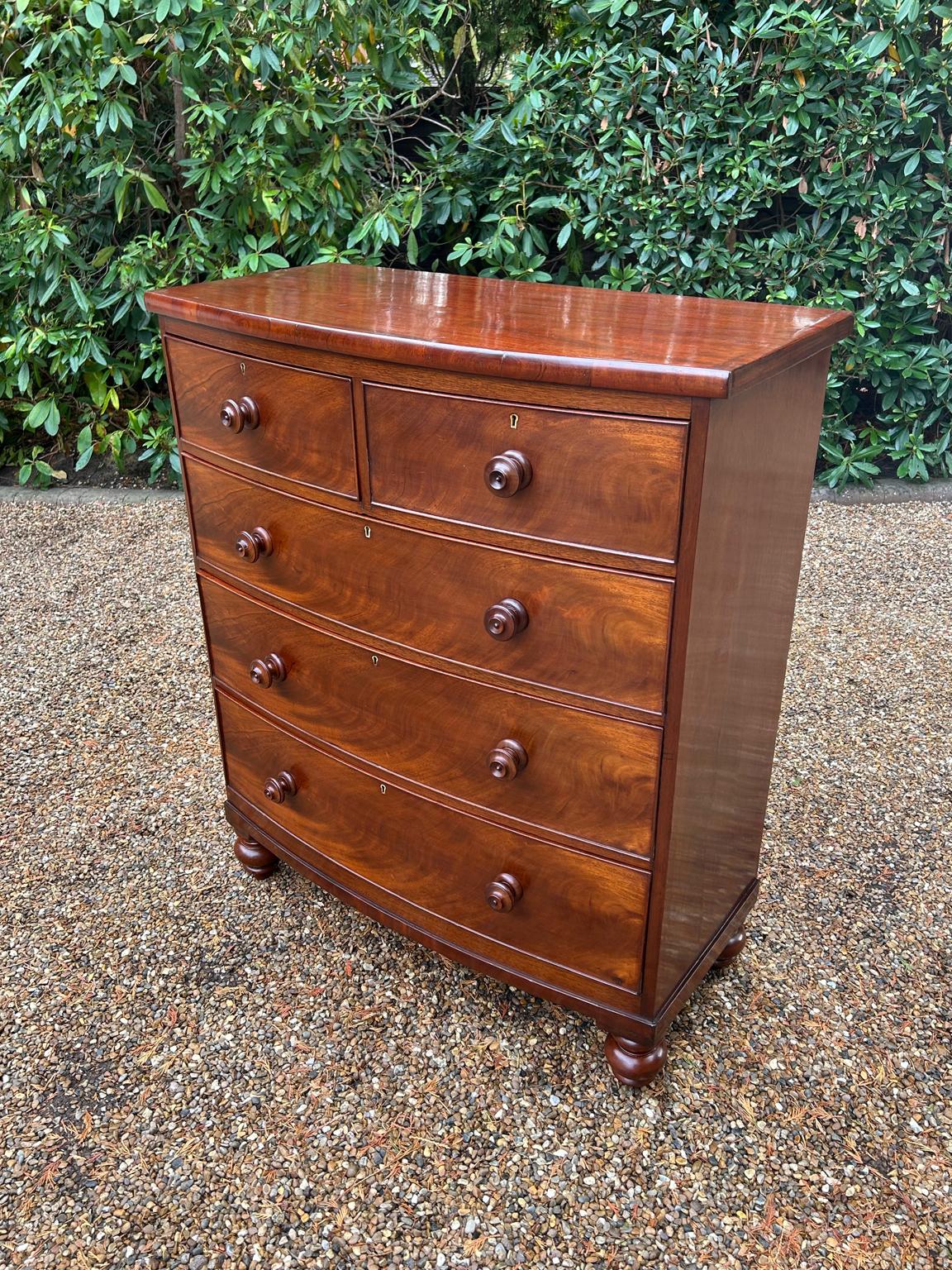 Georgiano Cassettiera ad arco in mogano del XIX secolo in vendita