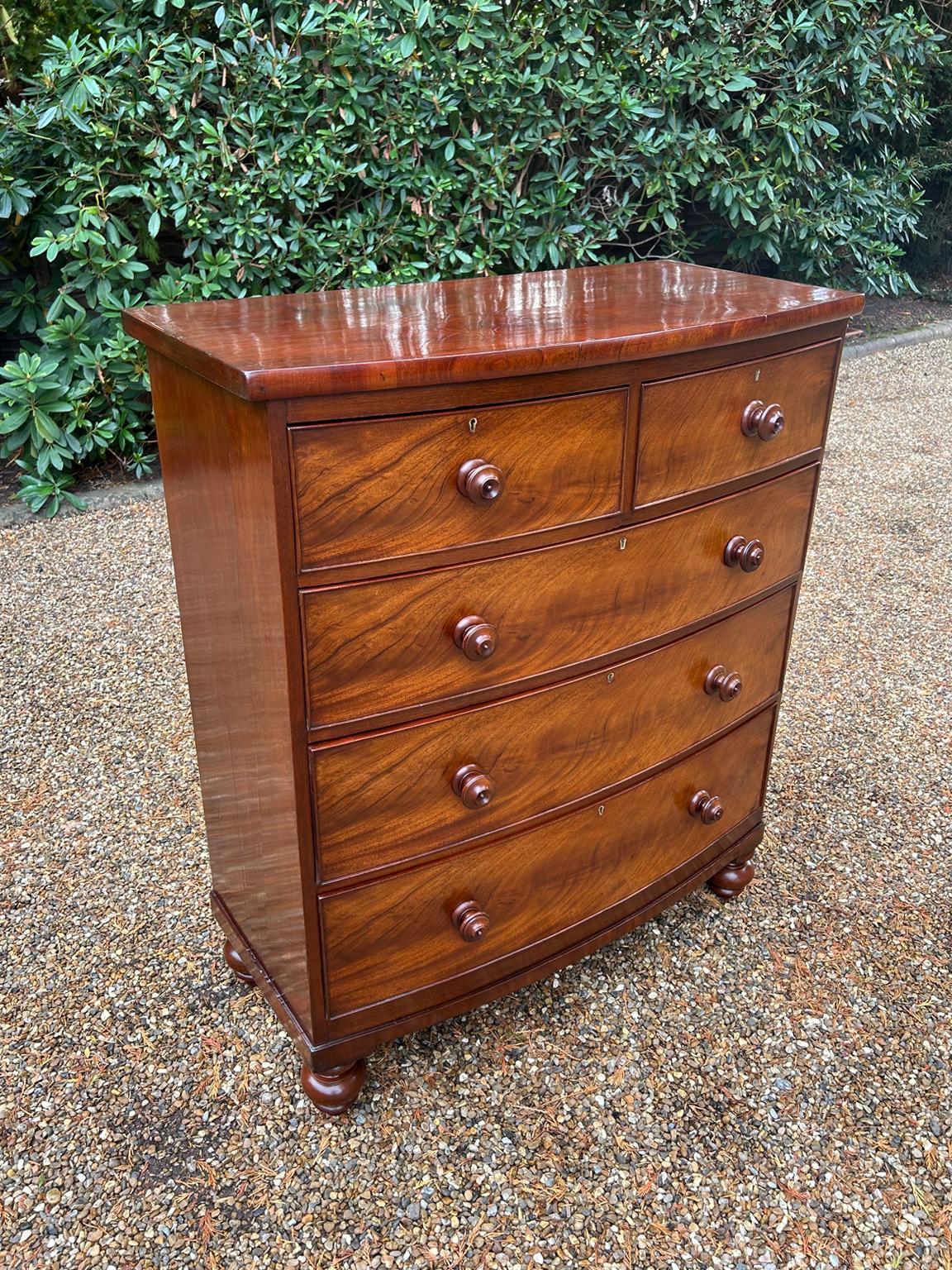 Britannico Cassettiera ad arco in mogano del XIX secolo in vendita