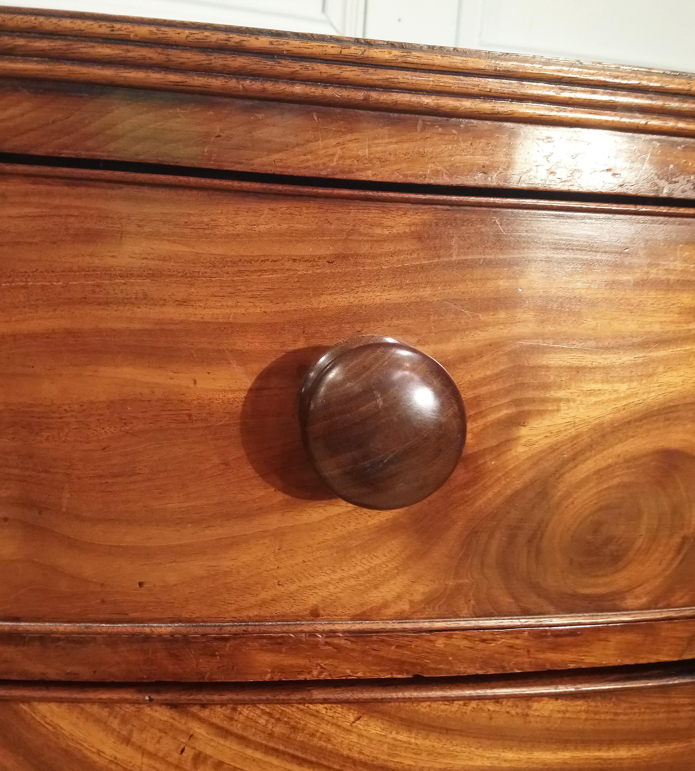19th Century Mahogany Bow Fronted Chest of Drawers 2
