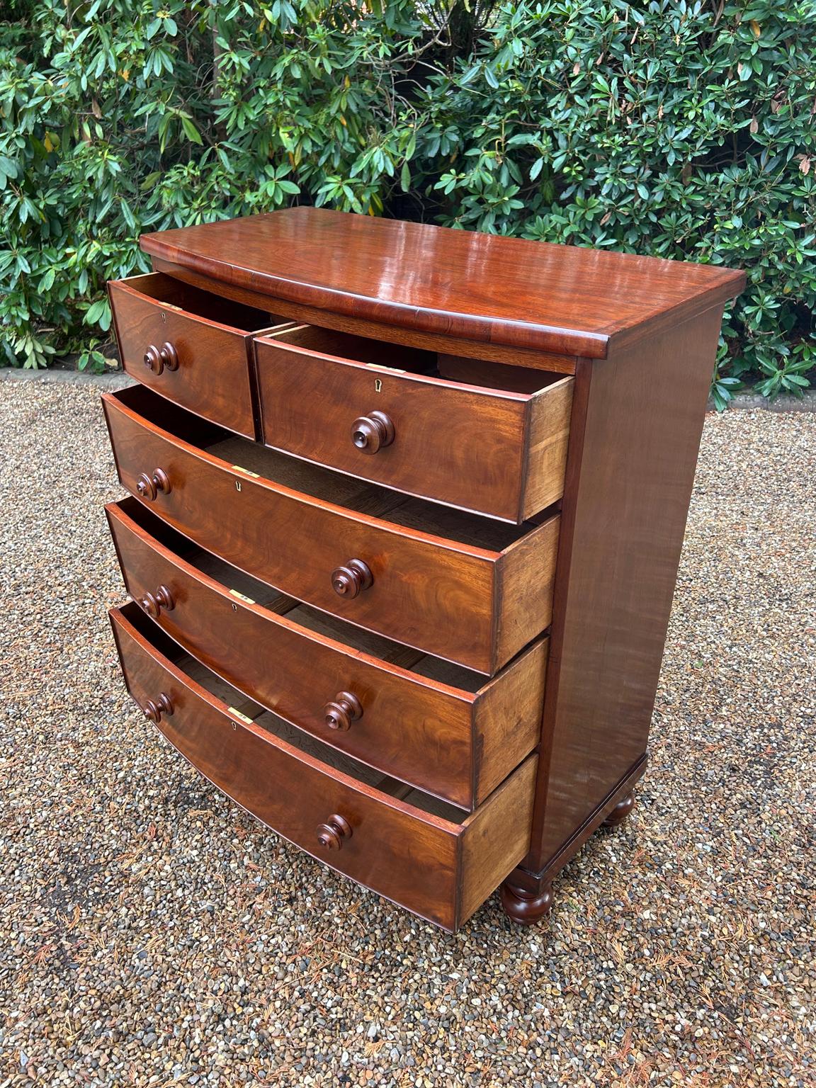 Mogano Cassettiera ad arco in mogano del XIX secolo in vendita