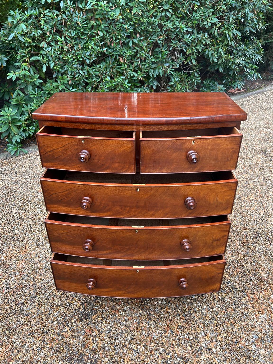 Cassettiera ad arco in mogano del XIX secolo in vendita 1