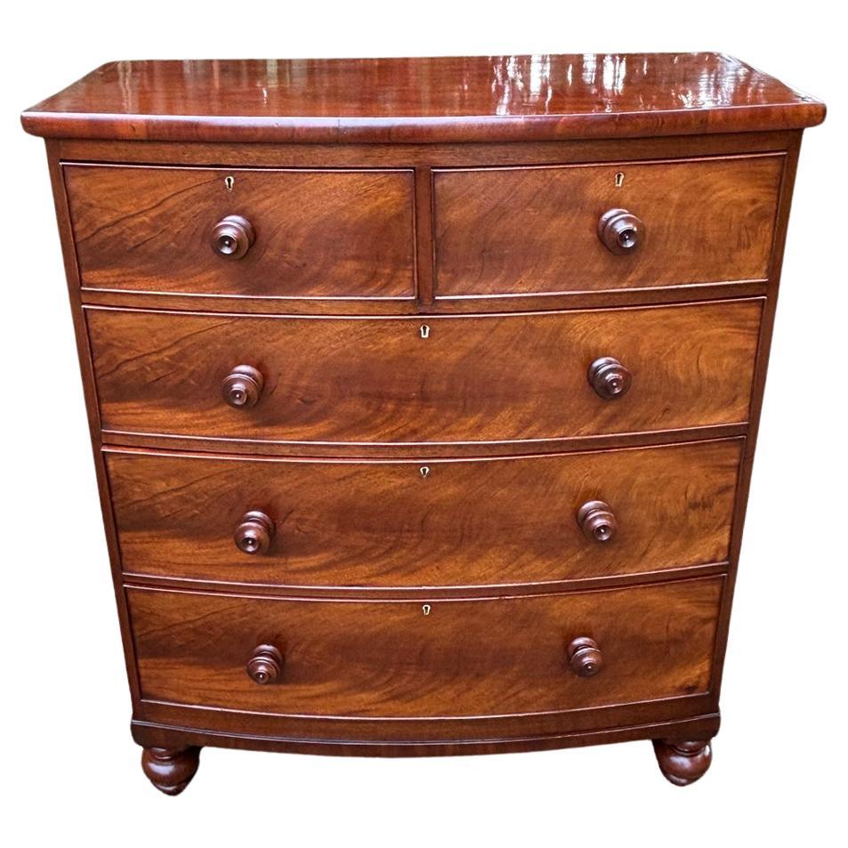 Cassettiera ad arco in mogano del XIX secolo in vendita