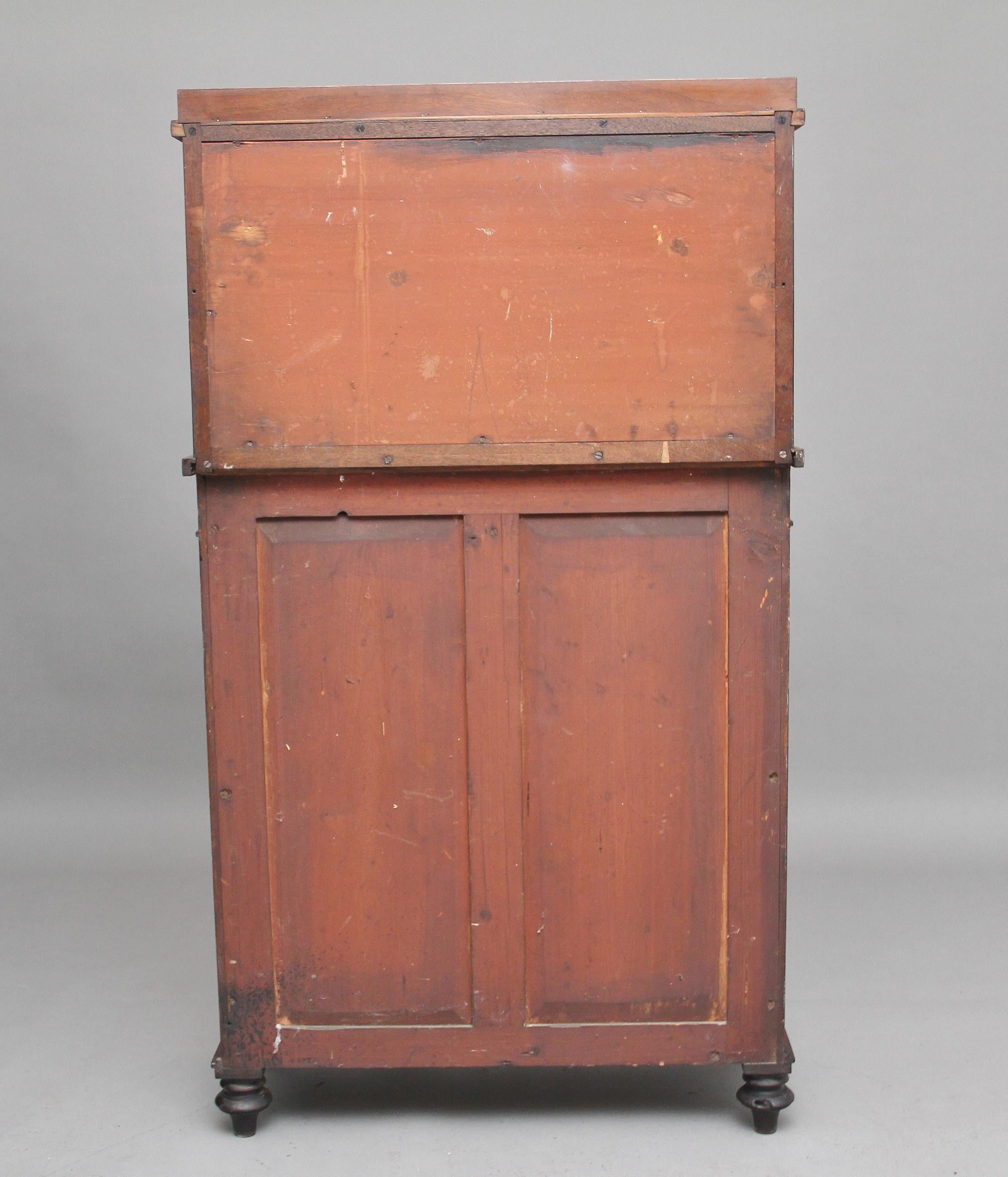 19th Century Mahogany Cabinet For Sale 3