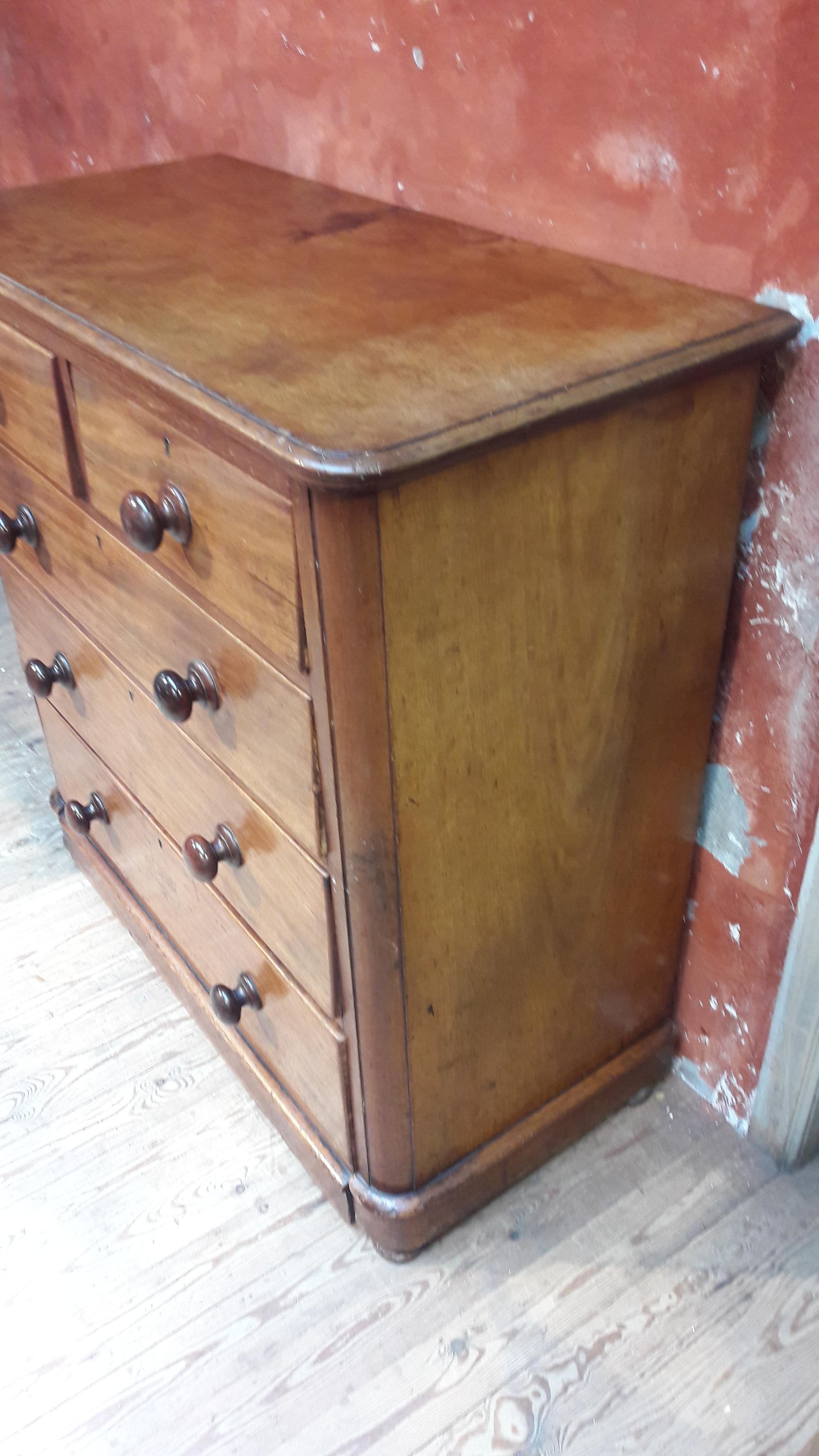 19th Century Mahogany Chest (Englisch) im Angebot