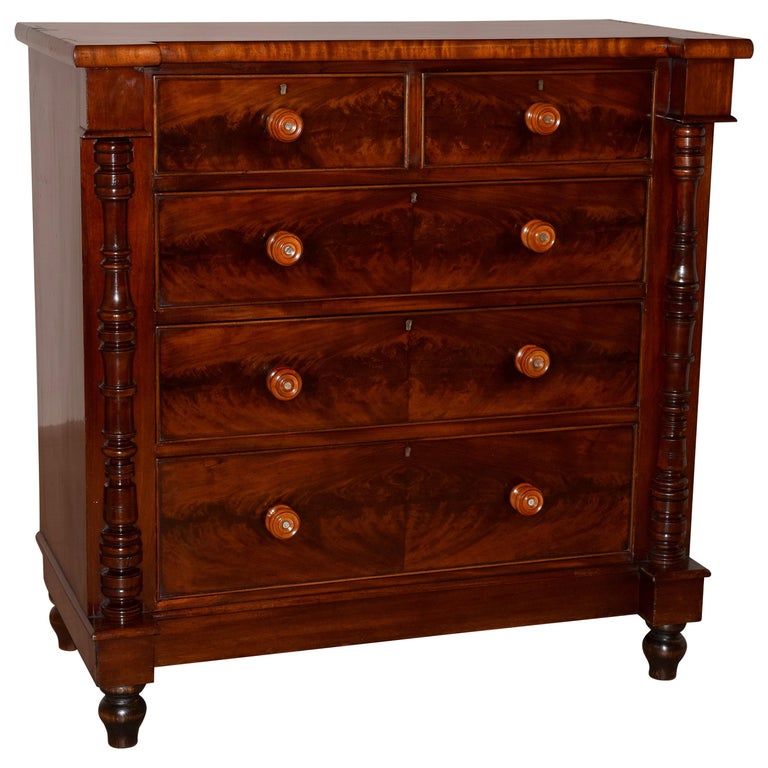 19th Century Mahogany Chest For Sale