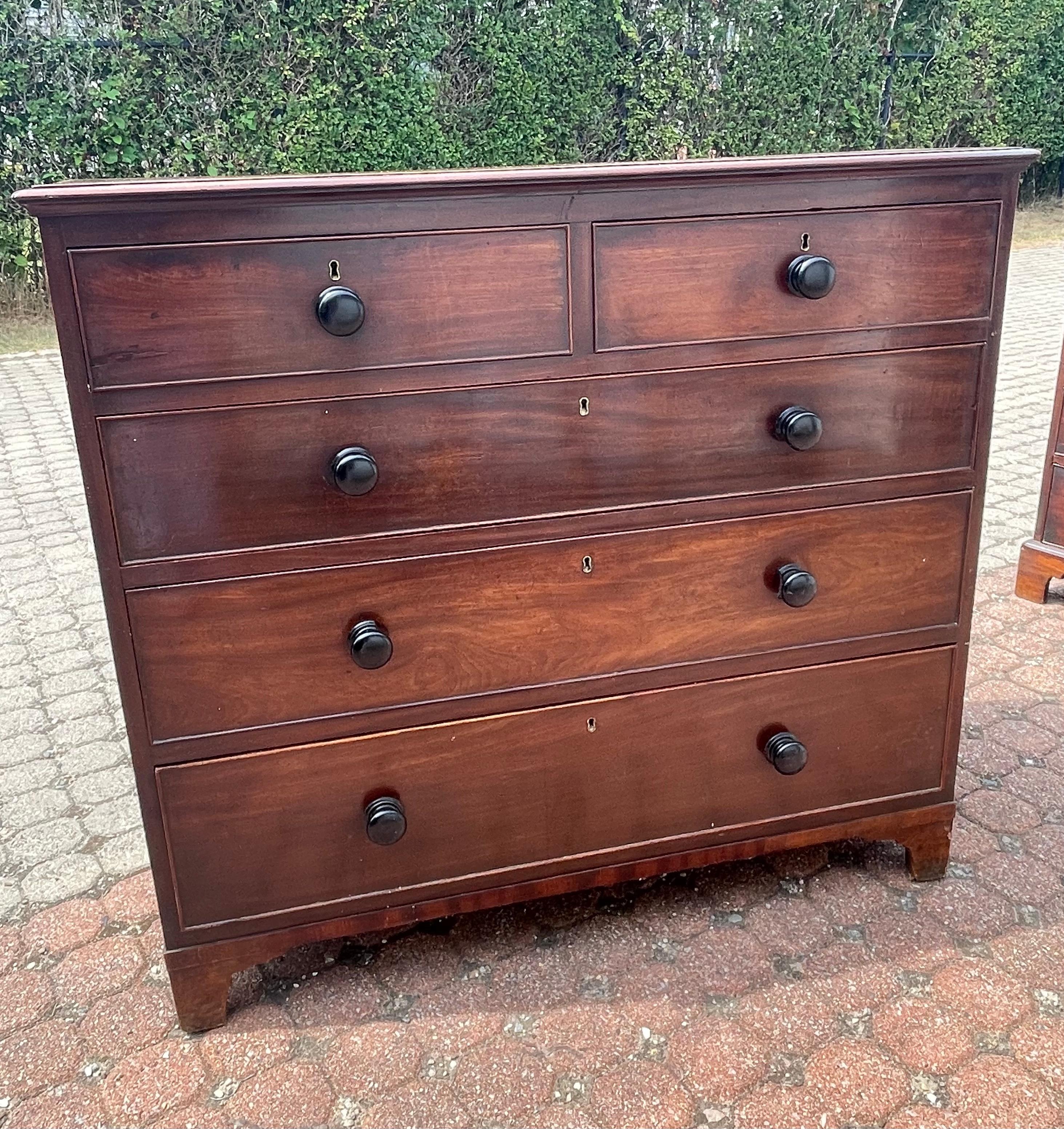 19th Century Mahogany Chest of Drawers 5