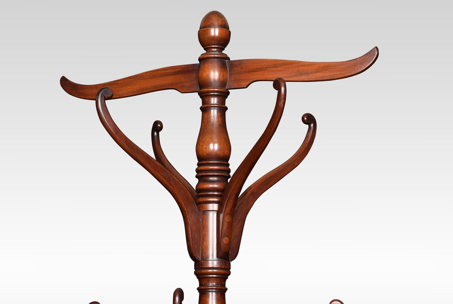 British 19th Century Mahogany Coat and Umbrella Stand For Sale