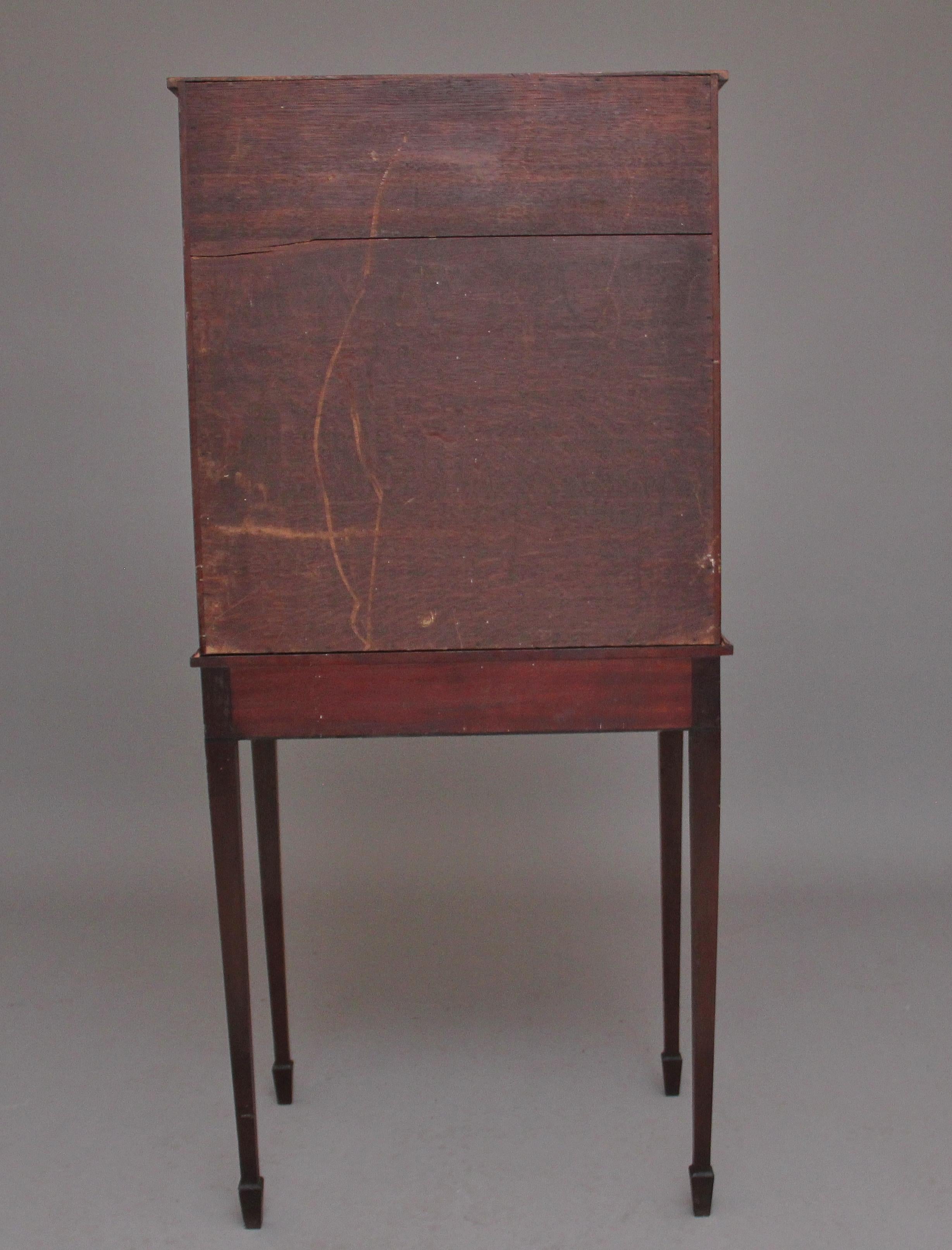 19th Century Mahogany Collectors Cabinet For Sale 2