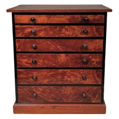 19th Century Mahogany Collectors Cabinet