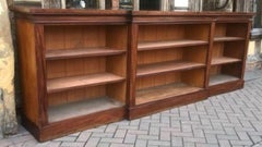 19th Century Mahogany Dwarf Bookcase Cabinet