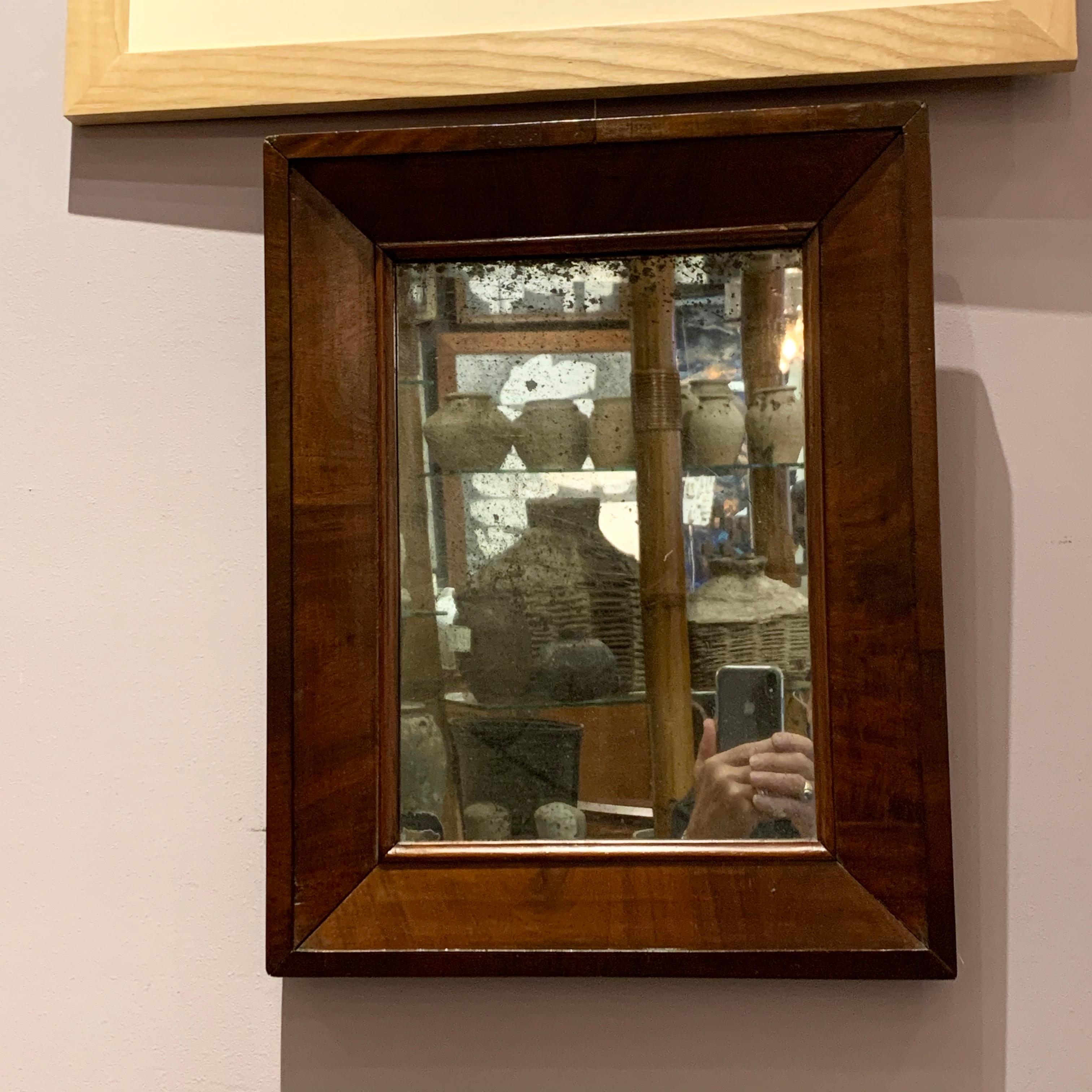 19th Century Mahogany Frame Mirror, France 1