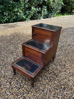 19th Century Mahogany Library / Bed Steps