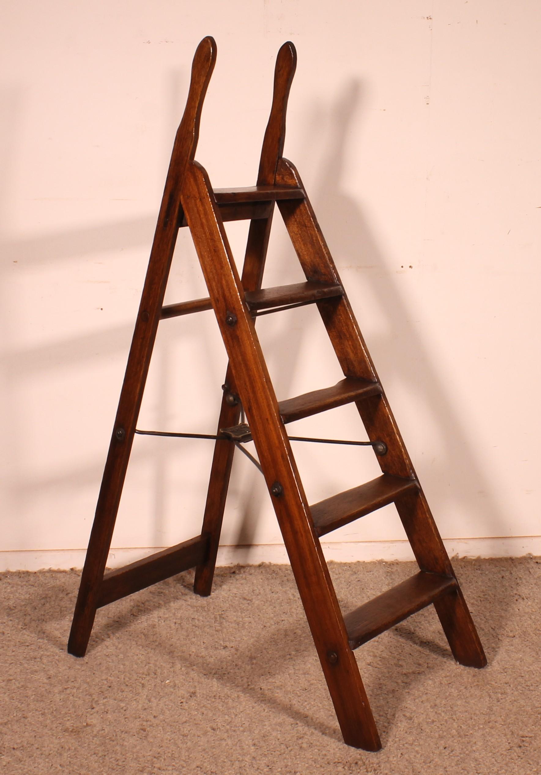 British 19th Century Mahogany Library Ladder For Sale