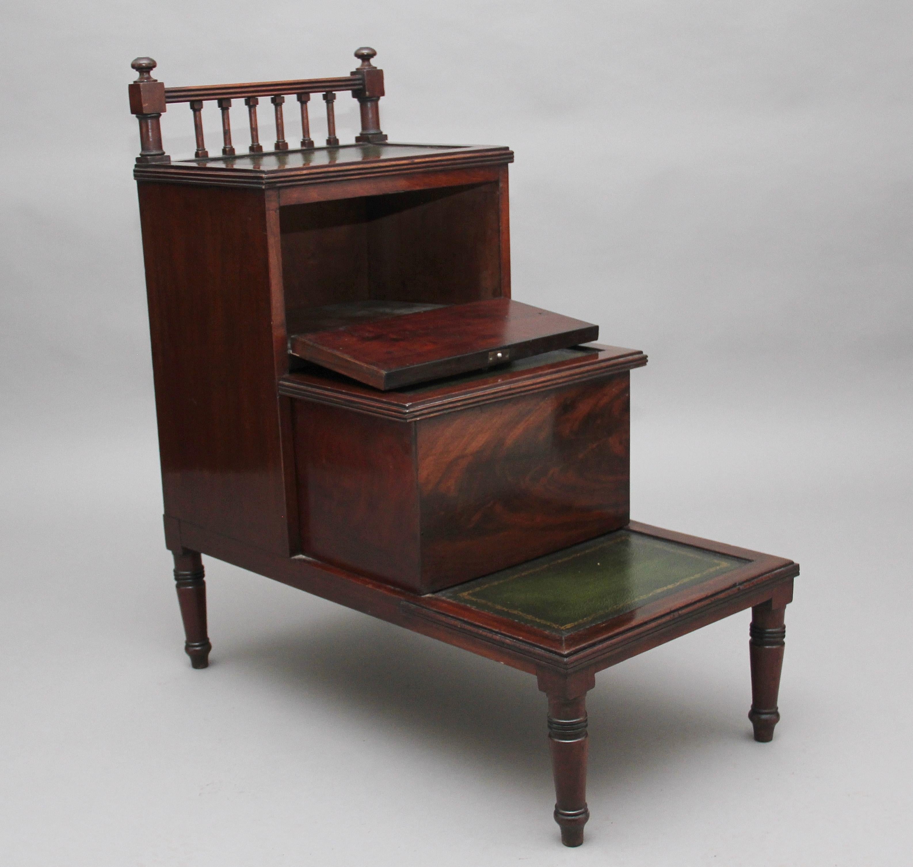 Mid-19th Century 19th Century Mahogany Library Steps