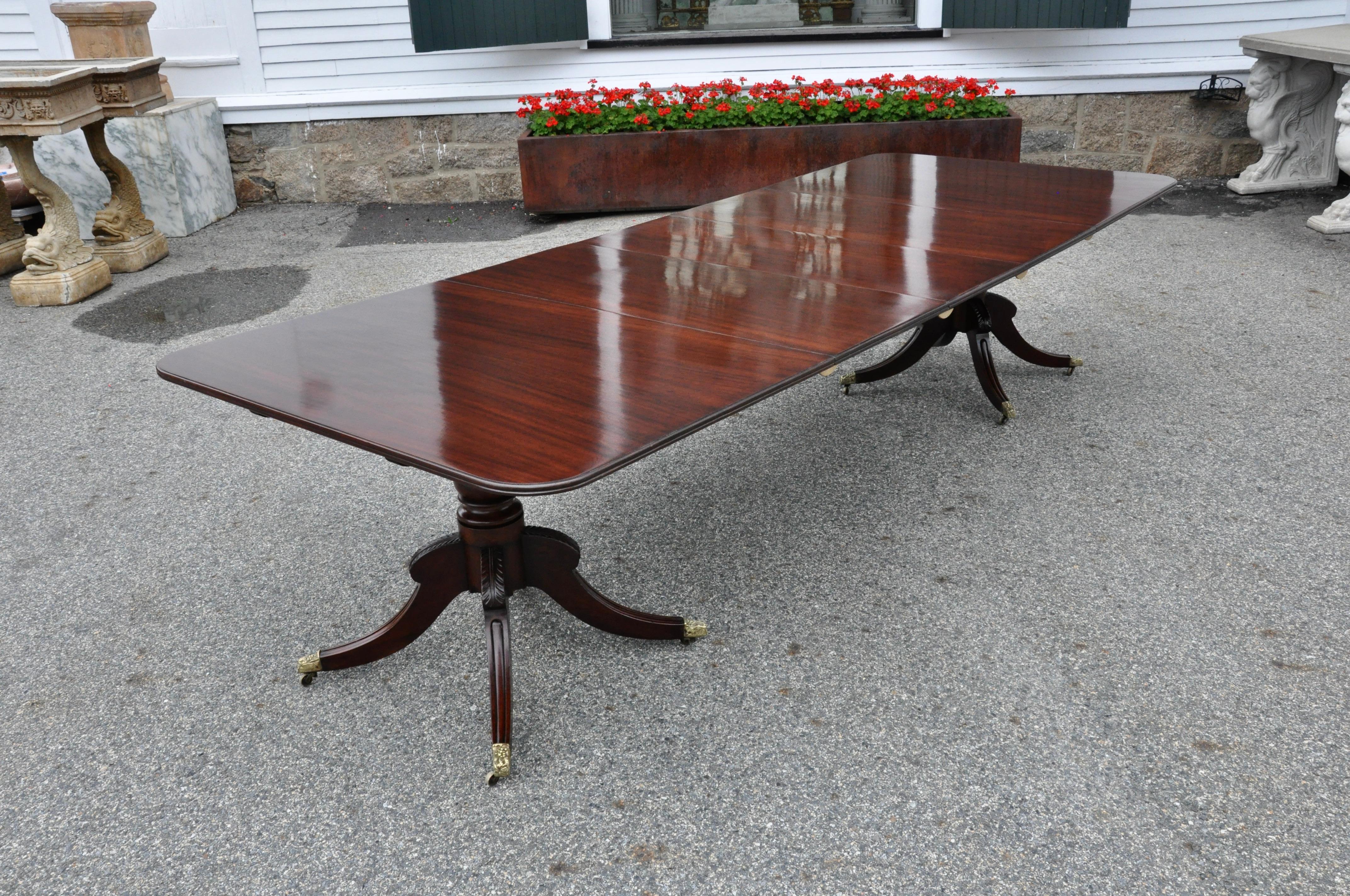 Solid mahogany two pedestal dining table with three leaves. Matching wood figuring and color. Wonderful carved pedestals with Regency legs and brass casters. French polish

Without leaves: 68
