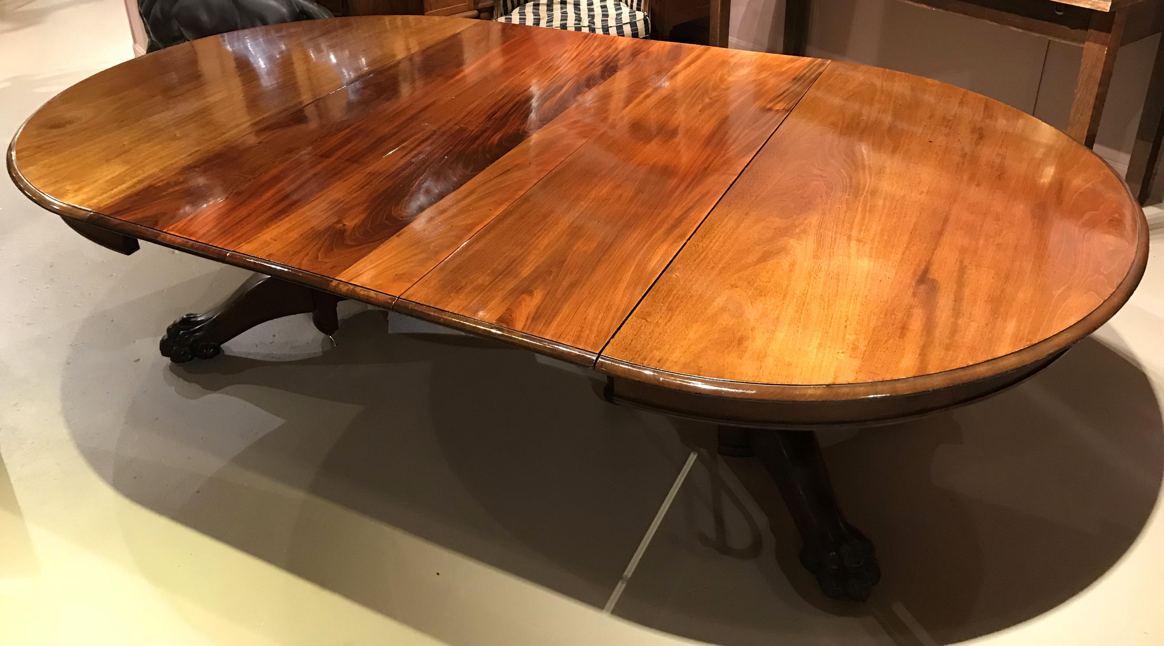 19th Century Mahogany Split Pedestal Round Dining Table with Splendid  Paw Feet 2