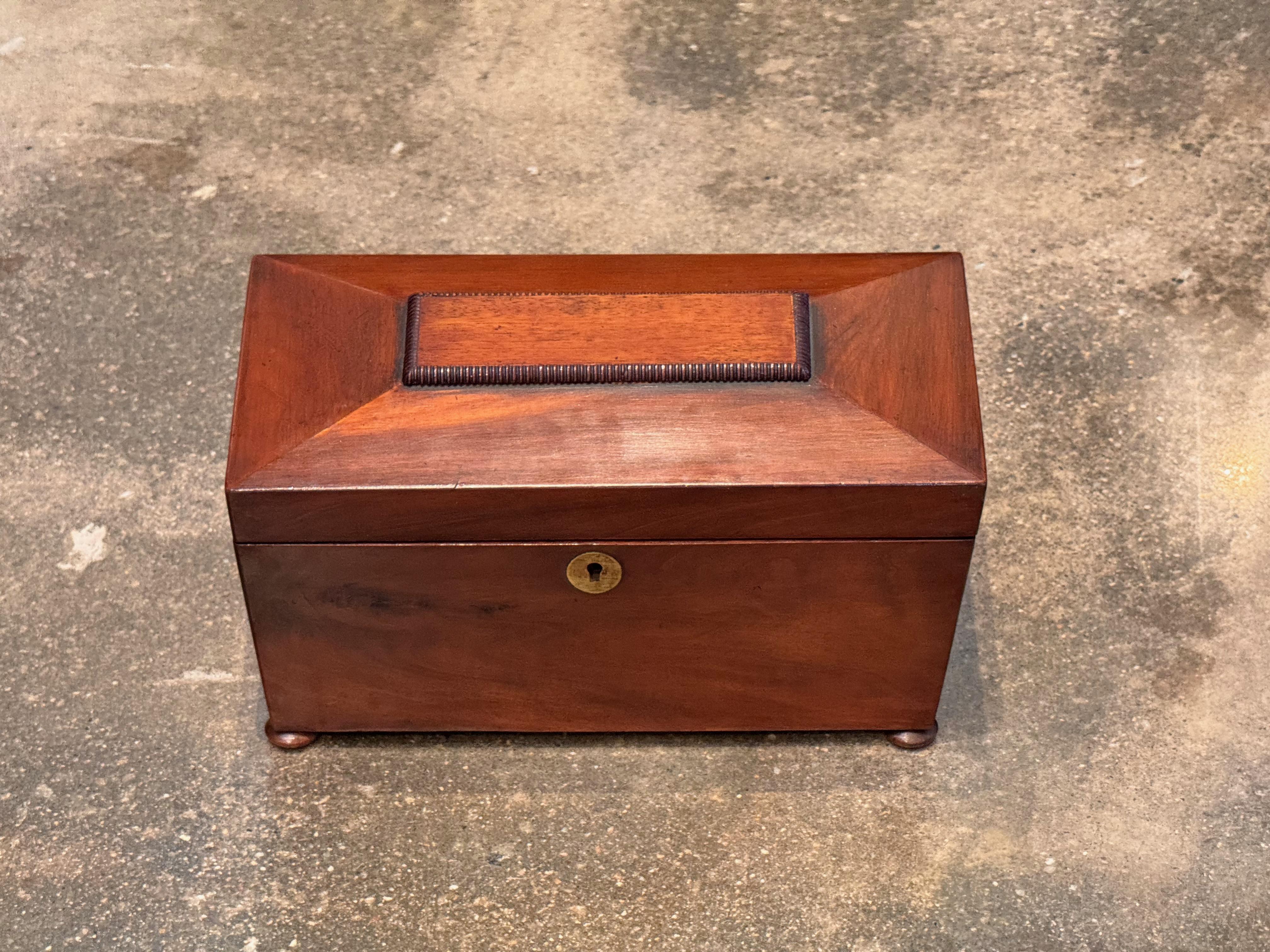 Britannico 19th Century Mahogany Tea Caddy With Divided Interior in vendita