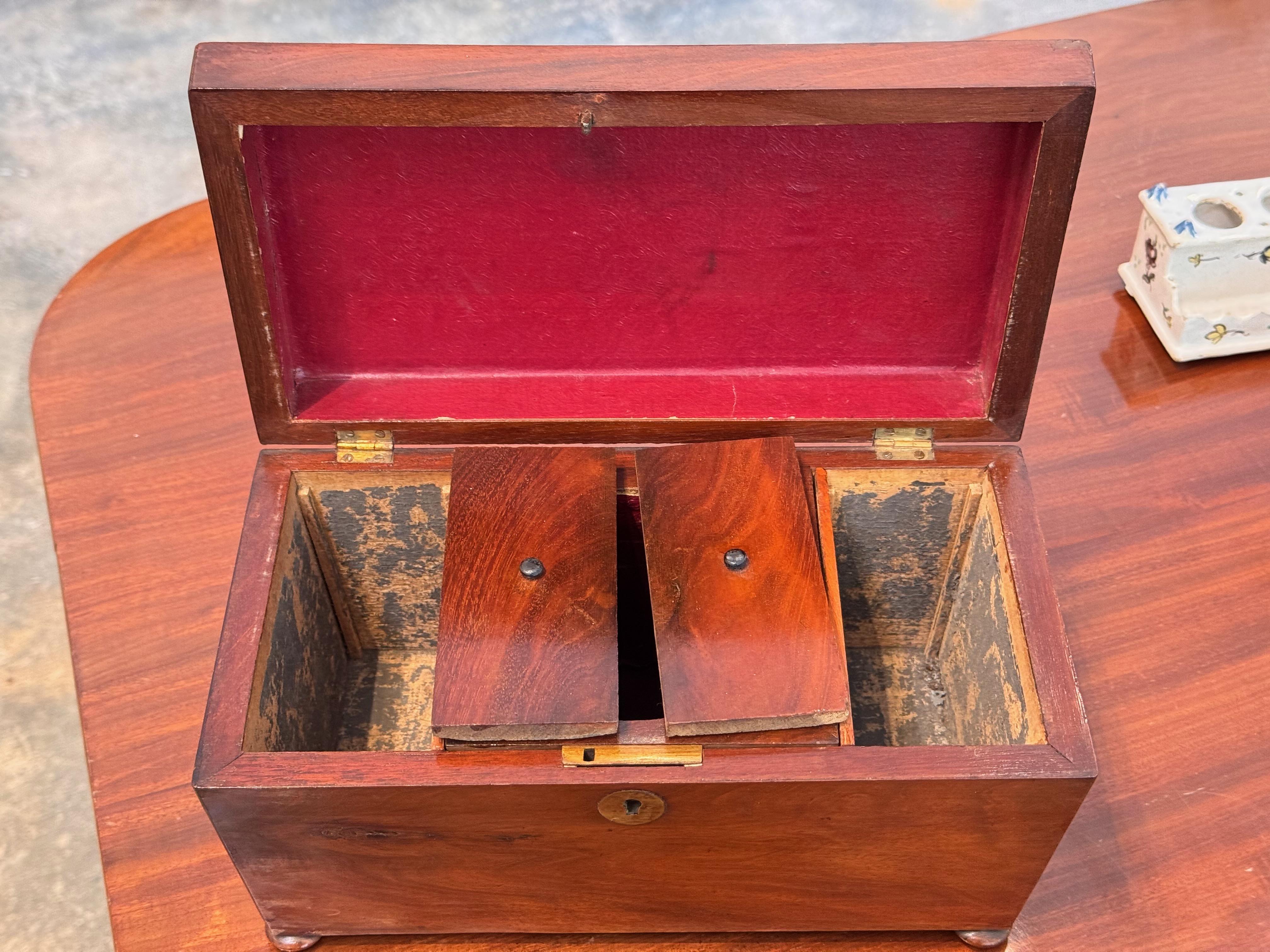 19th Century Mahogany Tea Caddy With Divided Interior in vendita 1