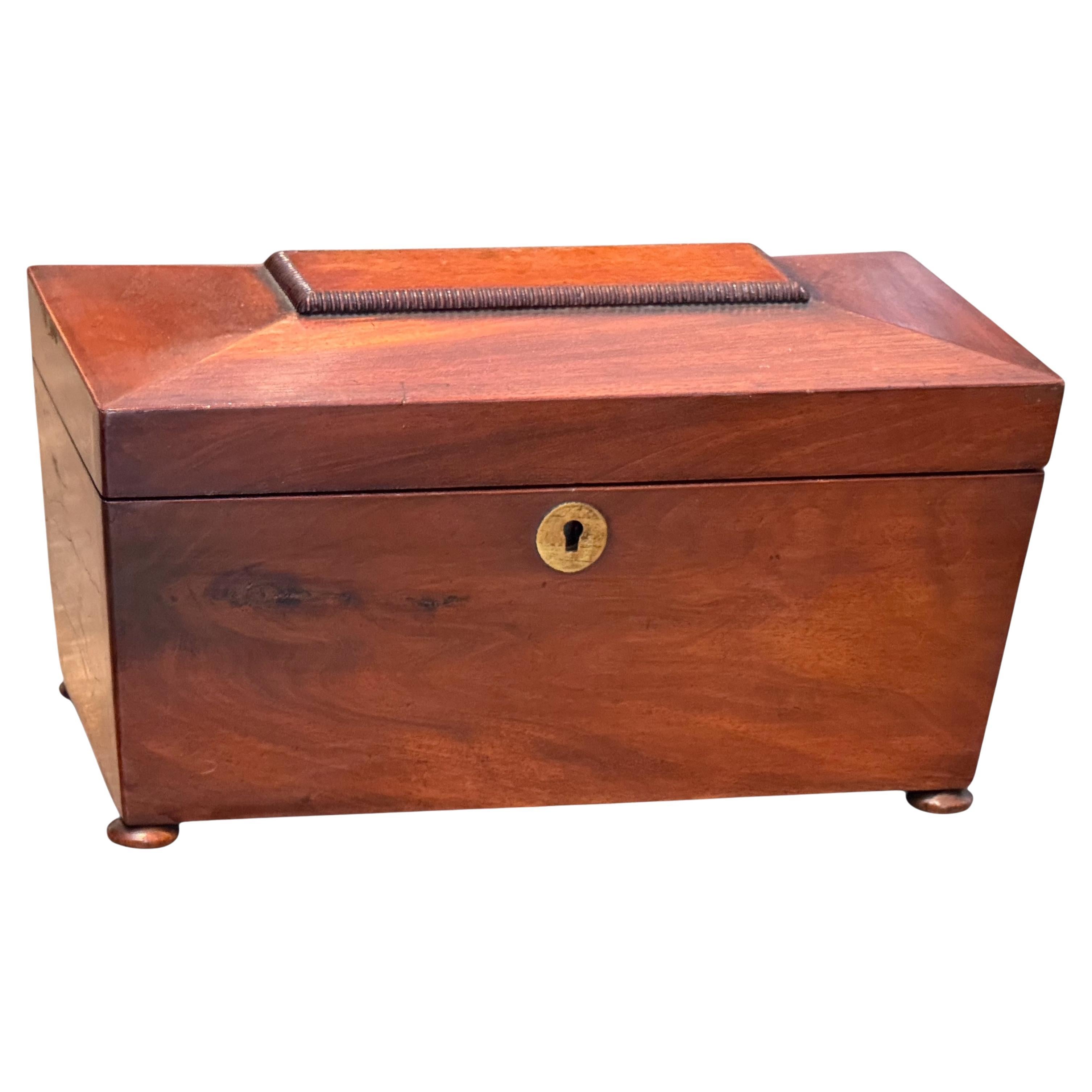 19th Century Mahogany Tea Caddy With Divided Interior in vendita
