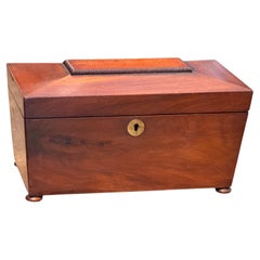 19th Century Mahogany Tea Caddy With Divided Interior