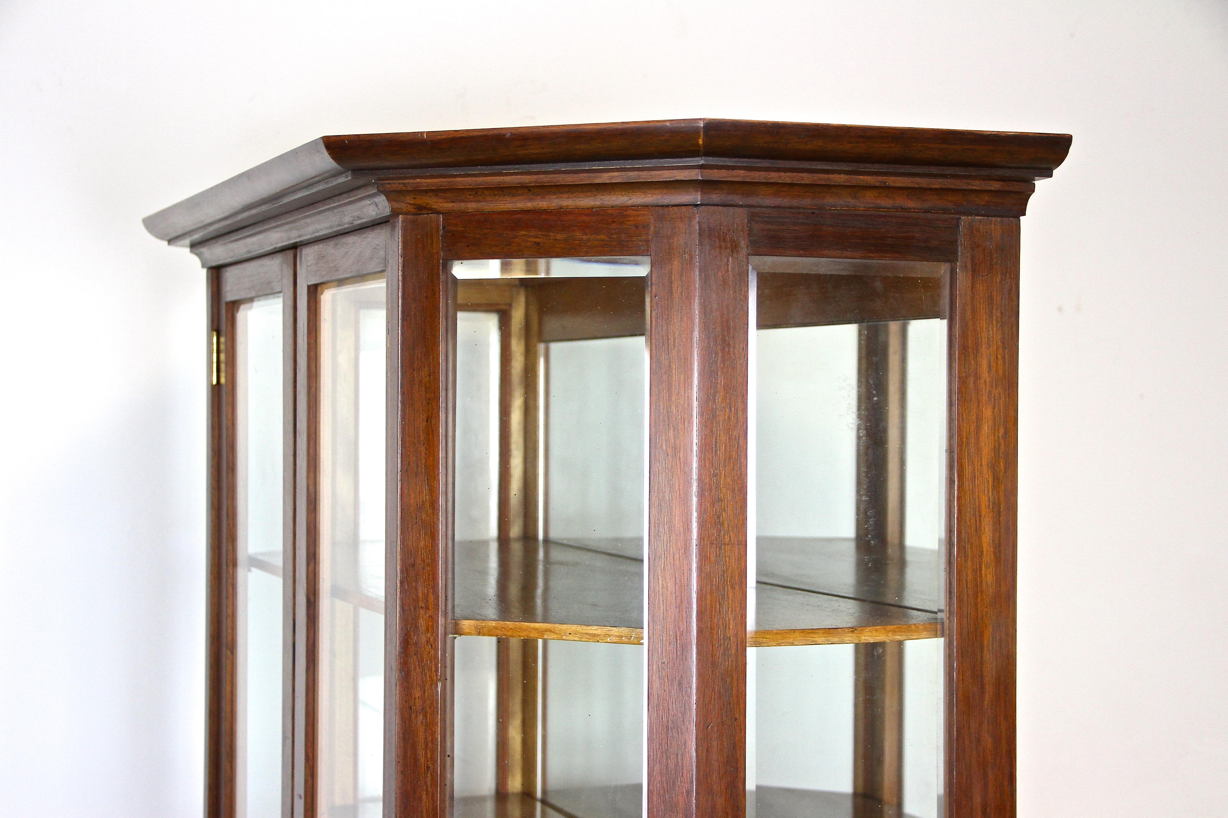 19th Century Mahogany Vitrine Cabinet with Faceted Glass, Austria, circa 1910 For Sale 5