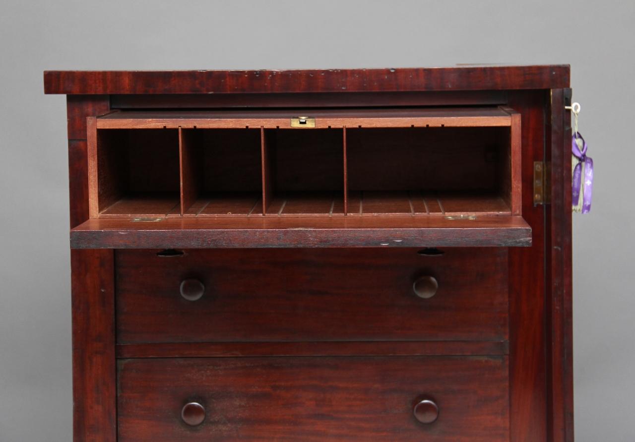 Early 19th Century 19th Century Mahogany Wellington Chest For Sale