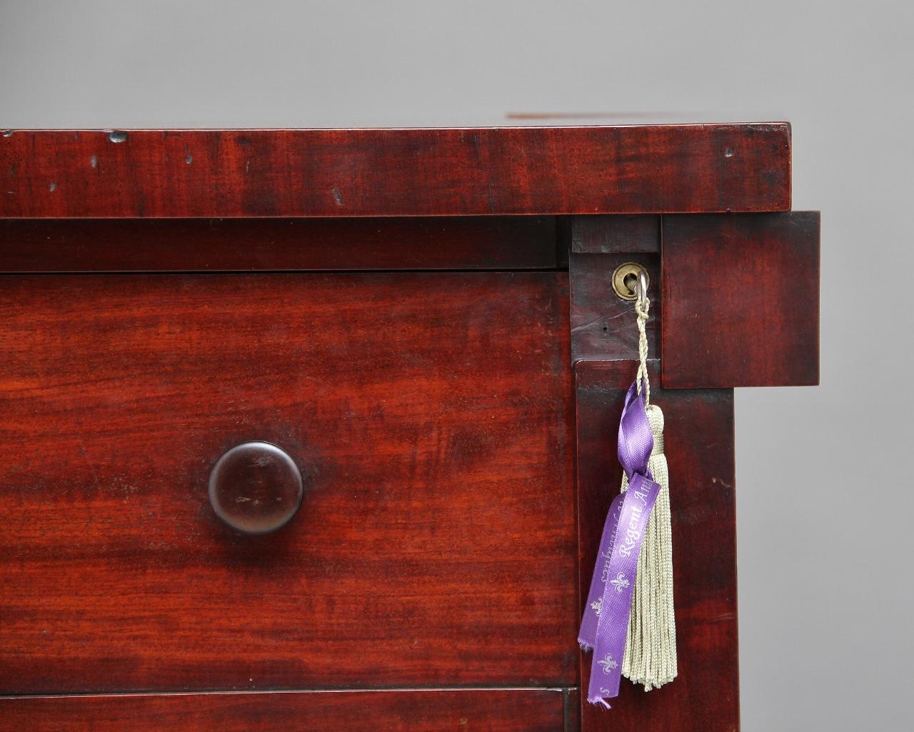 19th Century Mahogany Wellington Chest For Sale 1