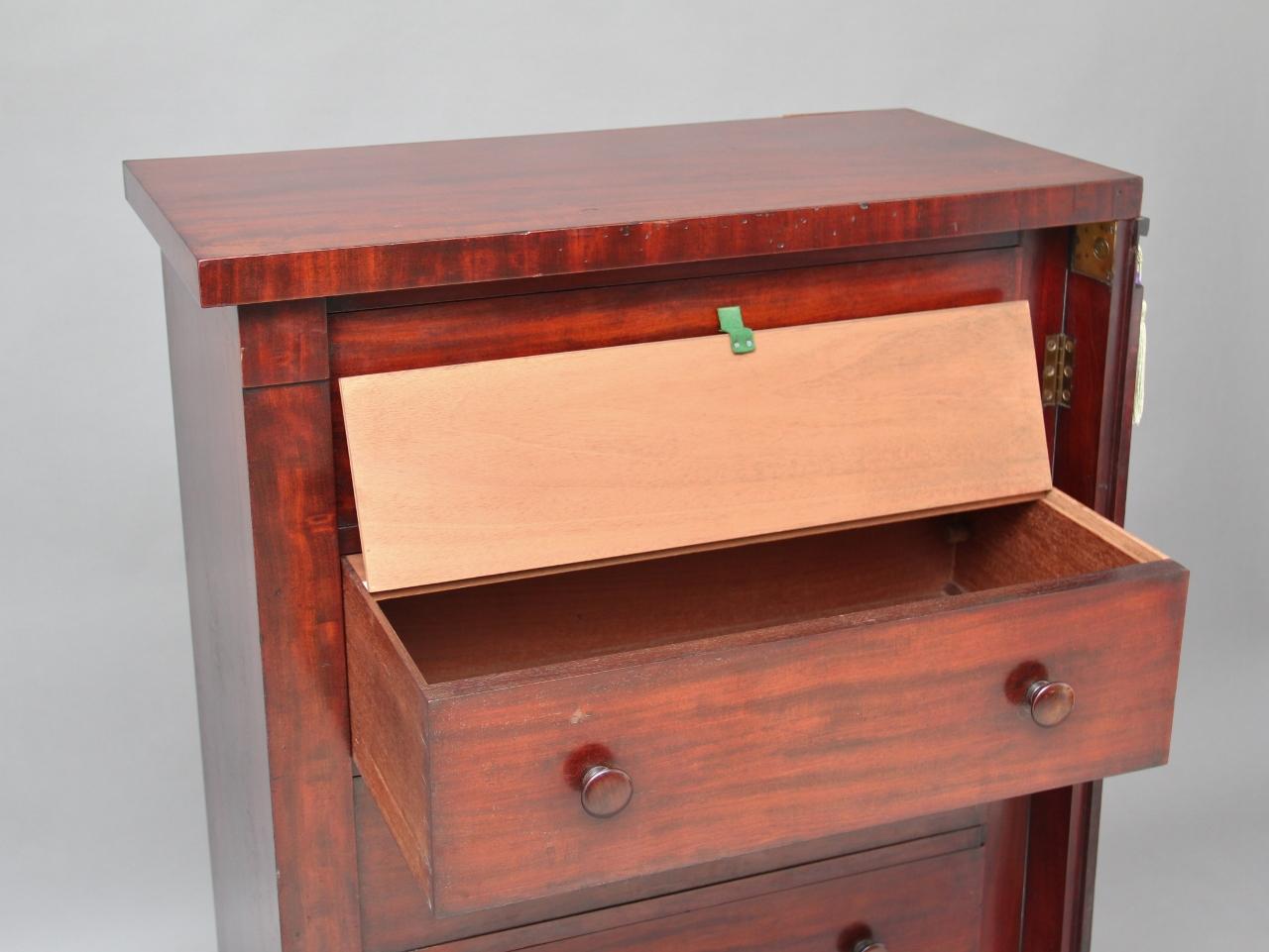 19th Century Mahogany Wellington Chest For Sale 2