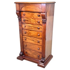 Used 19th Century Mahogany Wellington Chest