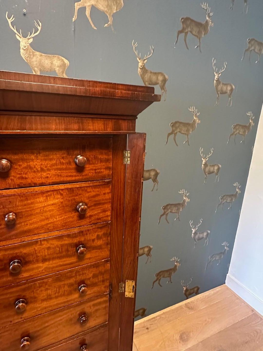 British 19th Century mahogany Wellington chest of drawers