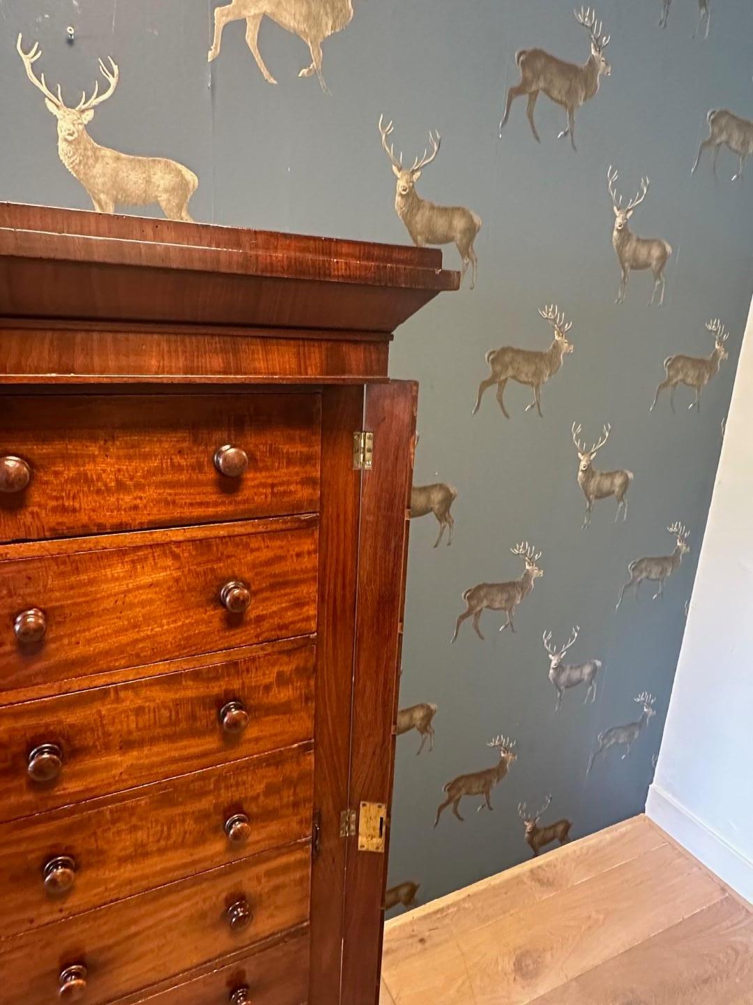 British 19th Century mahogany Wellington chest of drawers For Sale