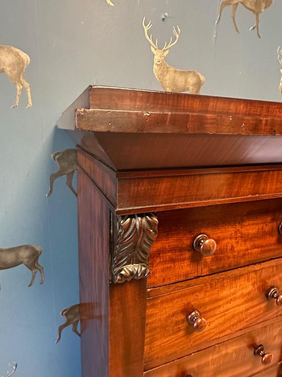 Mid-19th Century 19th Century mahogany Wellington chest of drawers For Sale