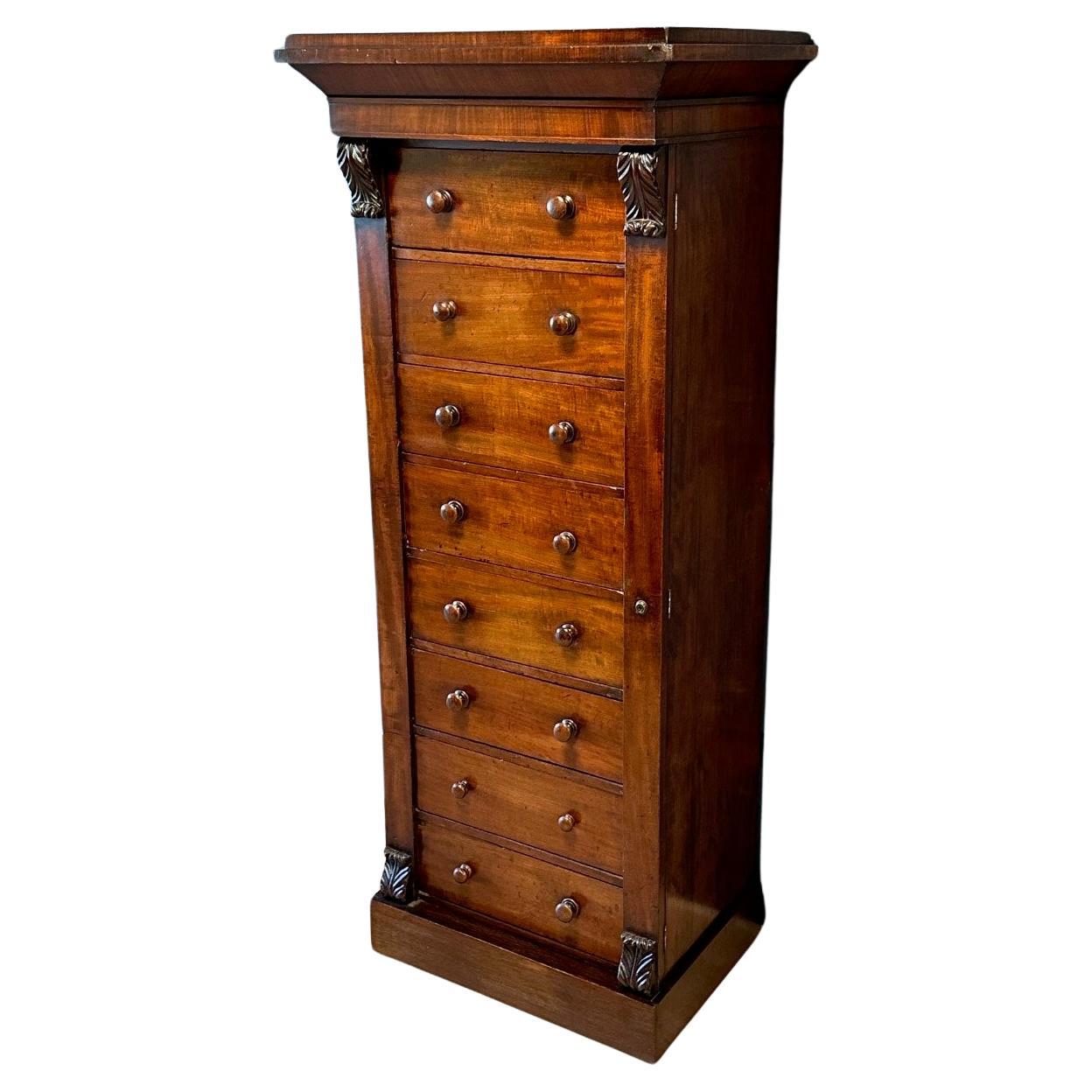 19th Century mahogany Wellington chest of drawers For Sale