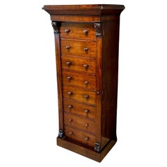 Antique 19th Century mahogany Wellington chest of drawers