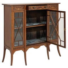 19th Century Mahogany Wood Edwardian Inlaid Vitrine