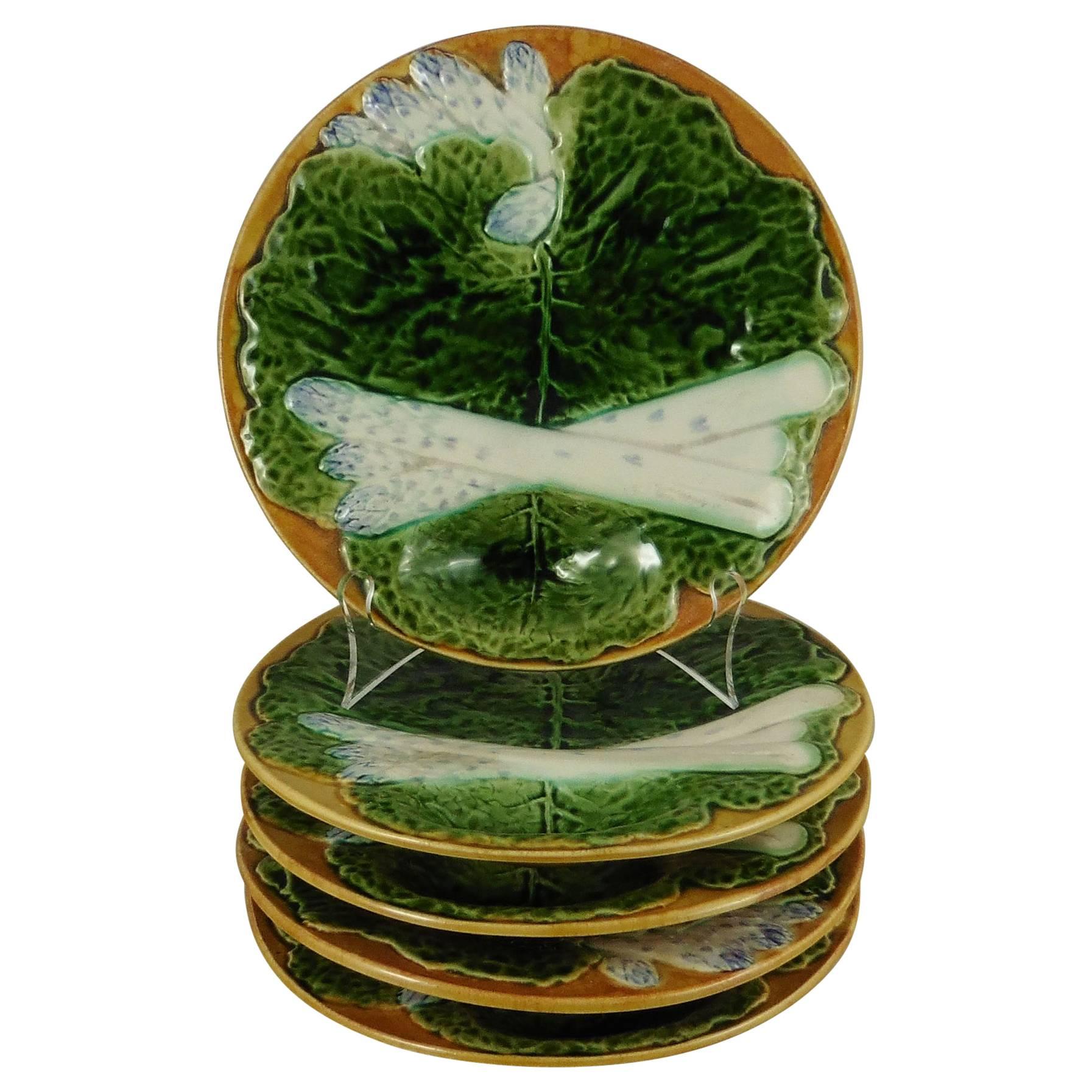 Unusual 19th century majolica asparagus plates with large green cabbages leaves on a yellow background (usually on blue background), very colorful plates made by the Manufacture of Creil and Montereau.
This manufacture didn't produced a lot of