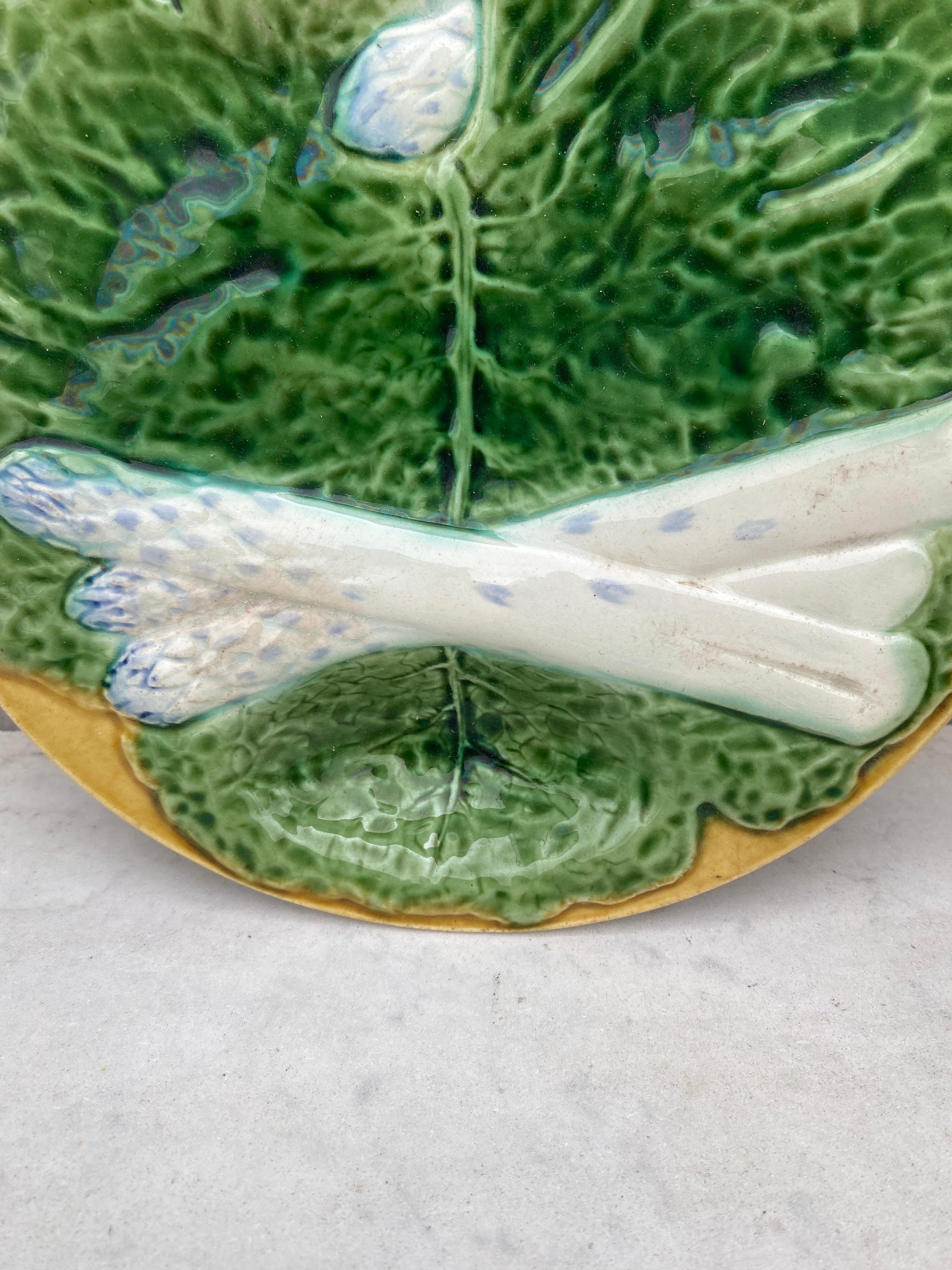 Country 19th Century Majolica Asparagus Plate with Cabbage Leaves Creil & Montereau For Sale