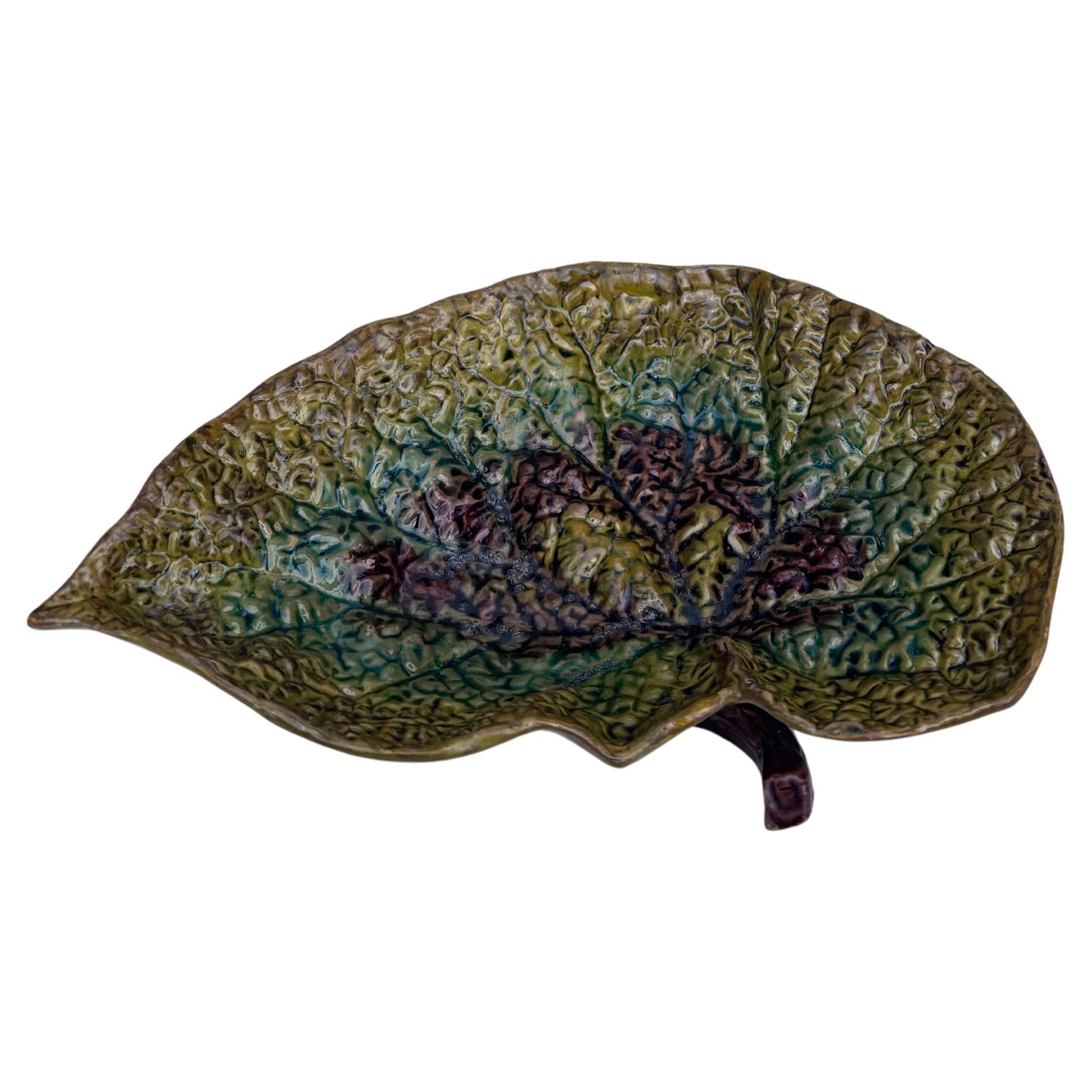 Piccola foglia di begonia in maiolica del XIX secolo firmata Wilhelm Schiller & Son Vide-Poche.
Alta qualità.
6,3 per 3,6 pollici.
Wilhelm Schiller iniziò la produzione di porcellana e terracotta a Bodenbach, in Boemia, nel 1829, operando con il