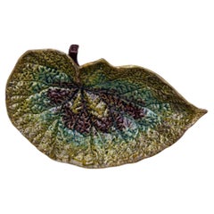 19th Century Majolica Begonia Leaf Wilhelm Schiller & Son Vide-Poche
