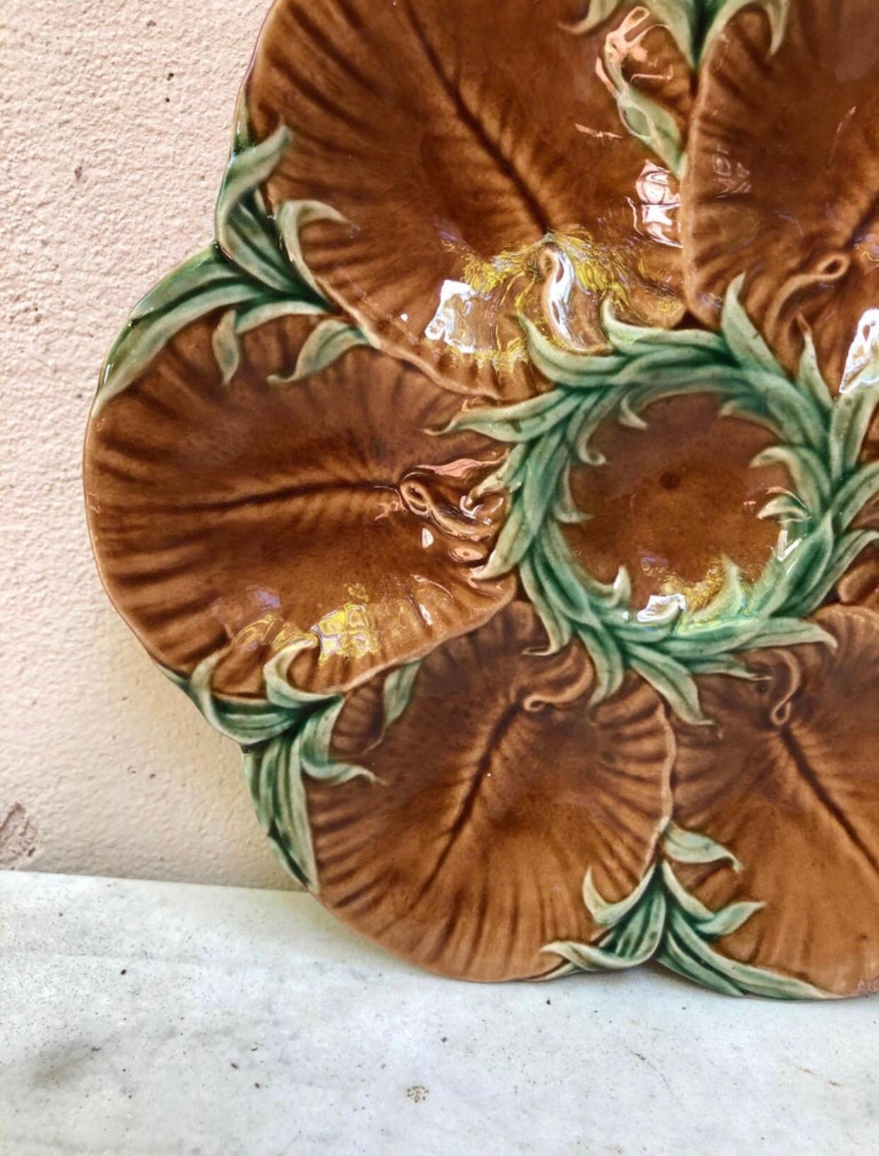 Country 19th Century Majolica Chocolate Oyster Plate Luneville For Sale