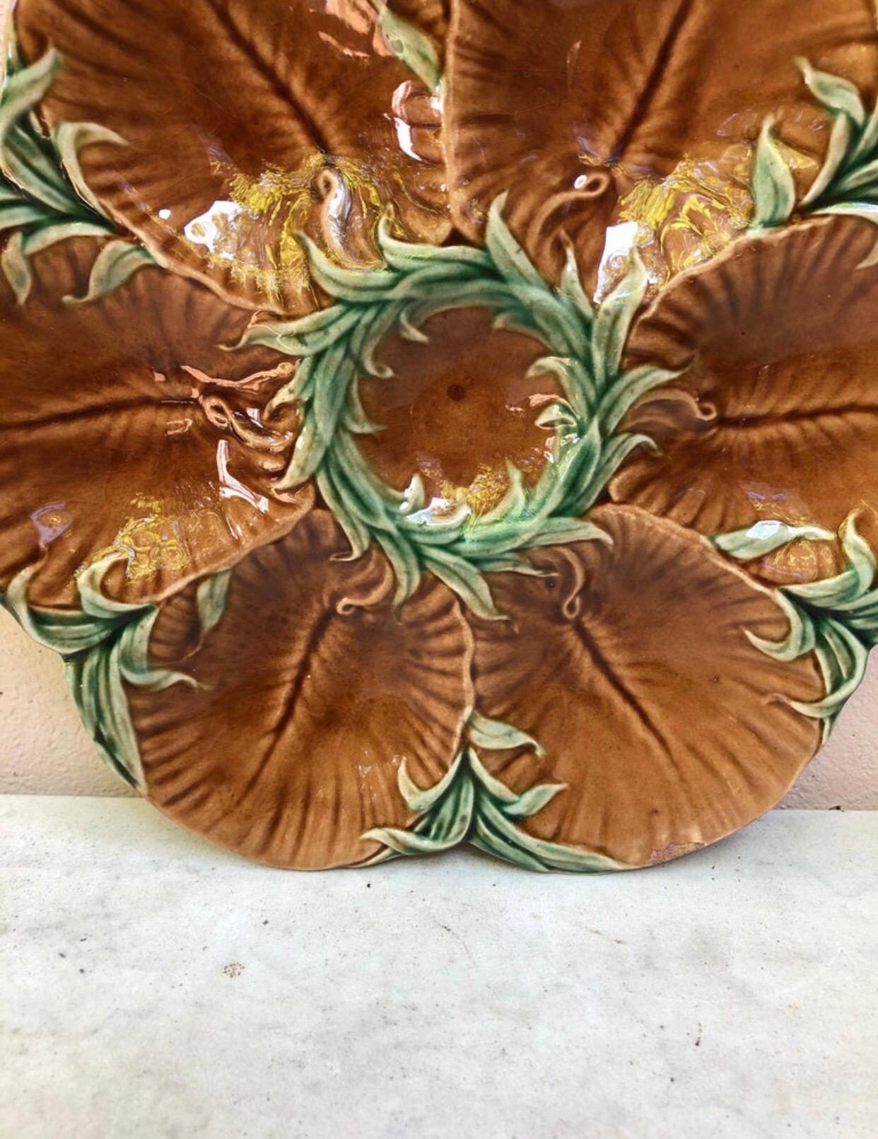 French 19th Century Majolica Chocolate Oyster Plate Luneville For Sale