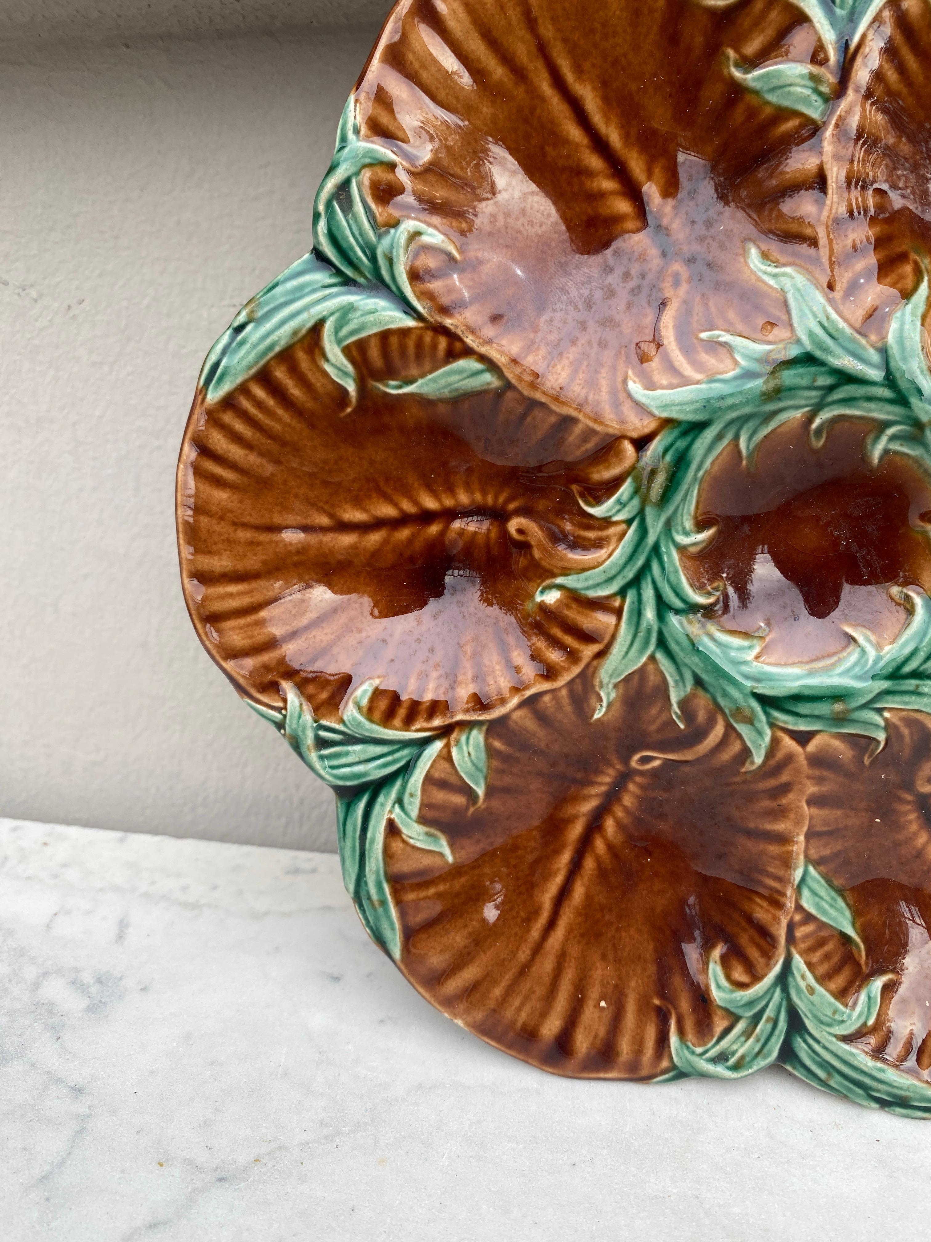 French 19th Century Majolica Chocolate Oyster Plate Luneville For Sale