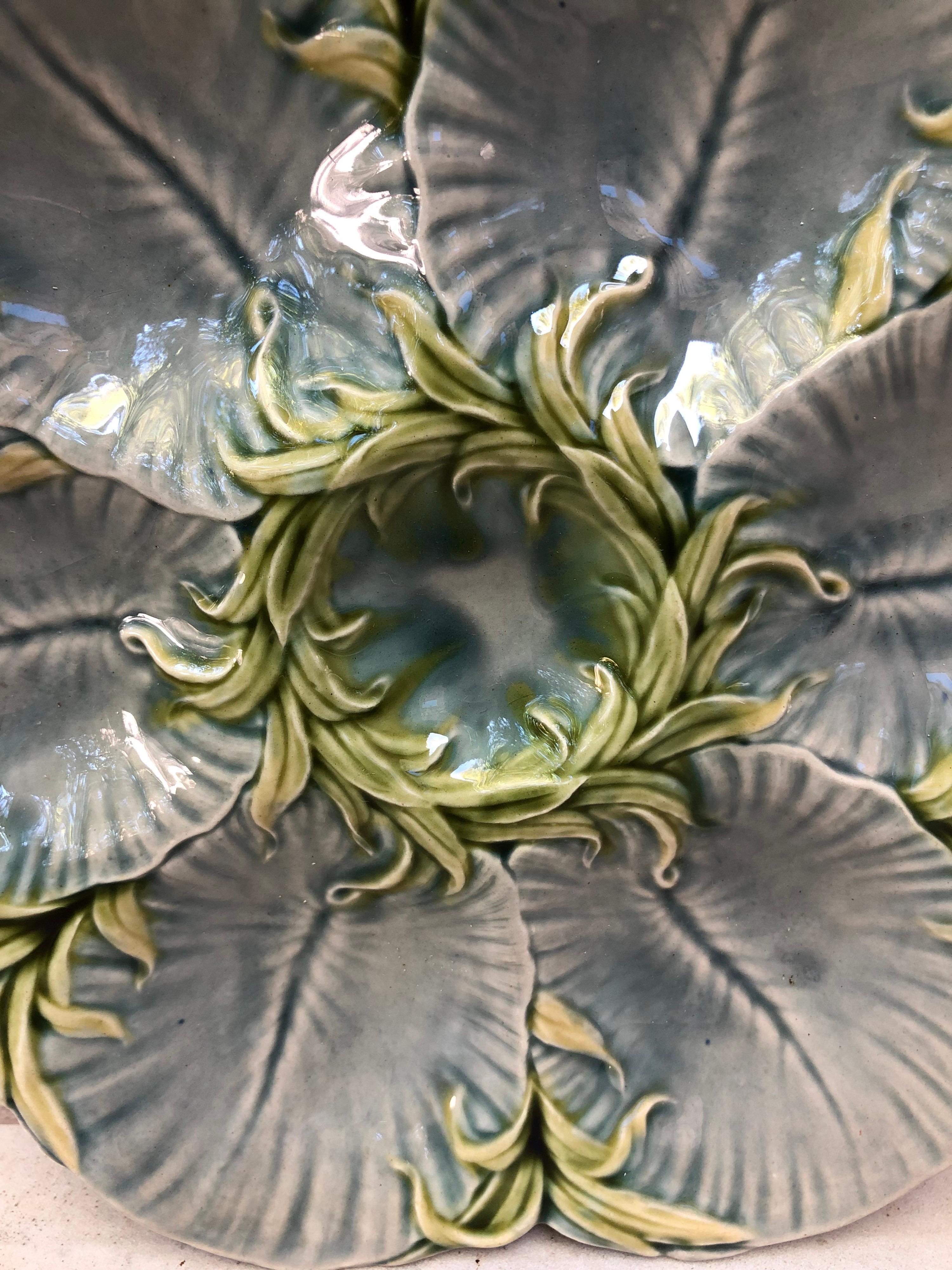 19th century Majolica gray oyster plate with green seaweeds Luneville.
Reference: Page 43 