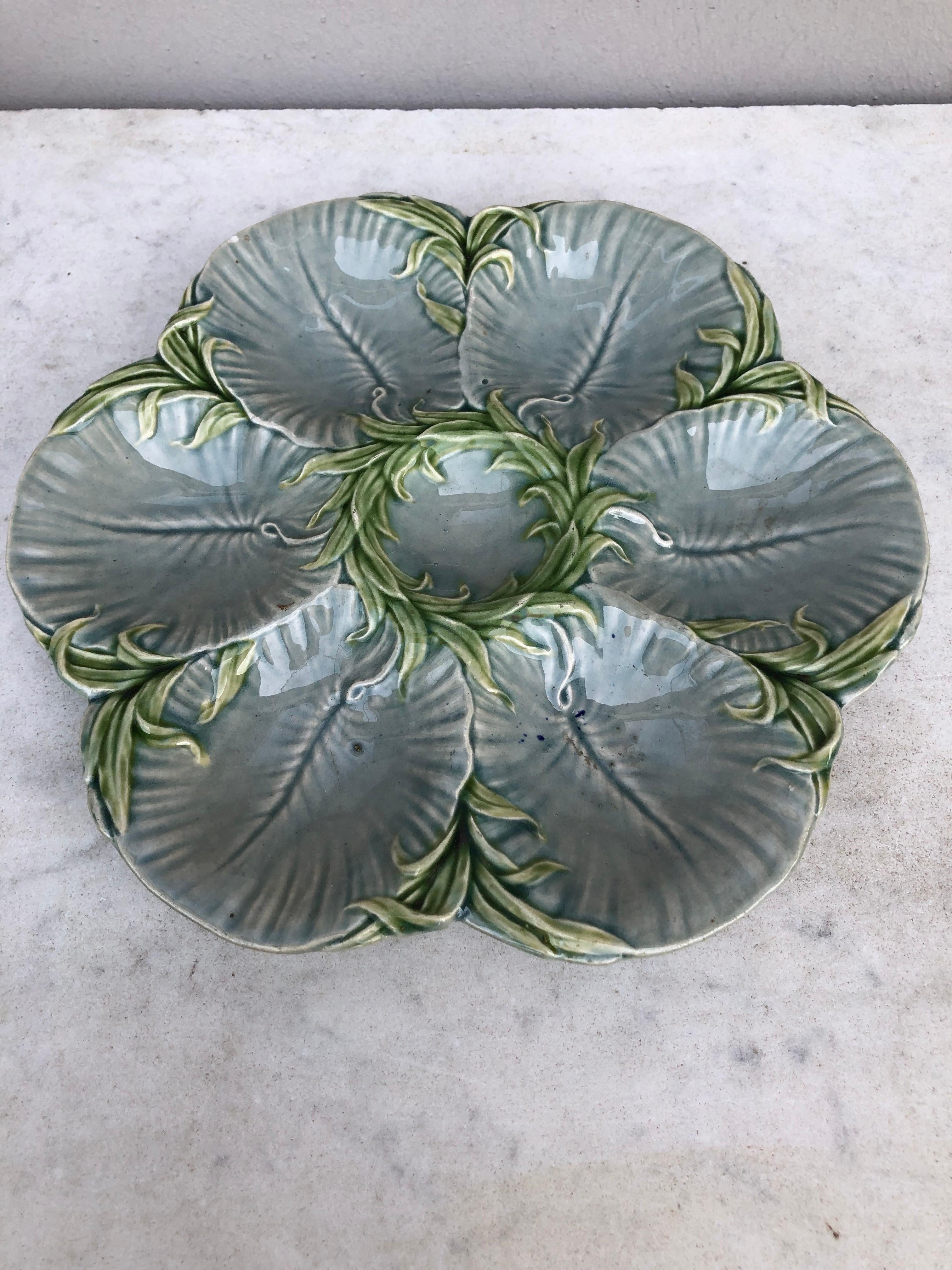 Rare 19th century Majolica gray oyster plate with green seaweeds Luneville.
Reference: Page 43 