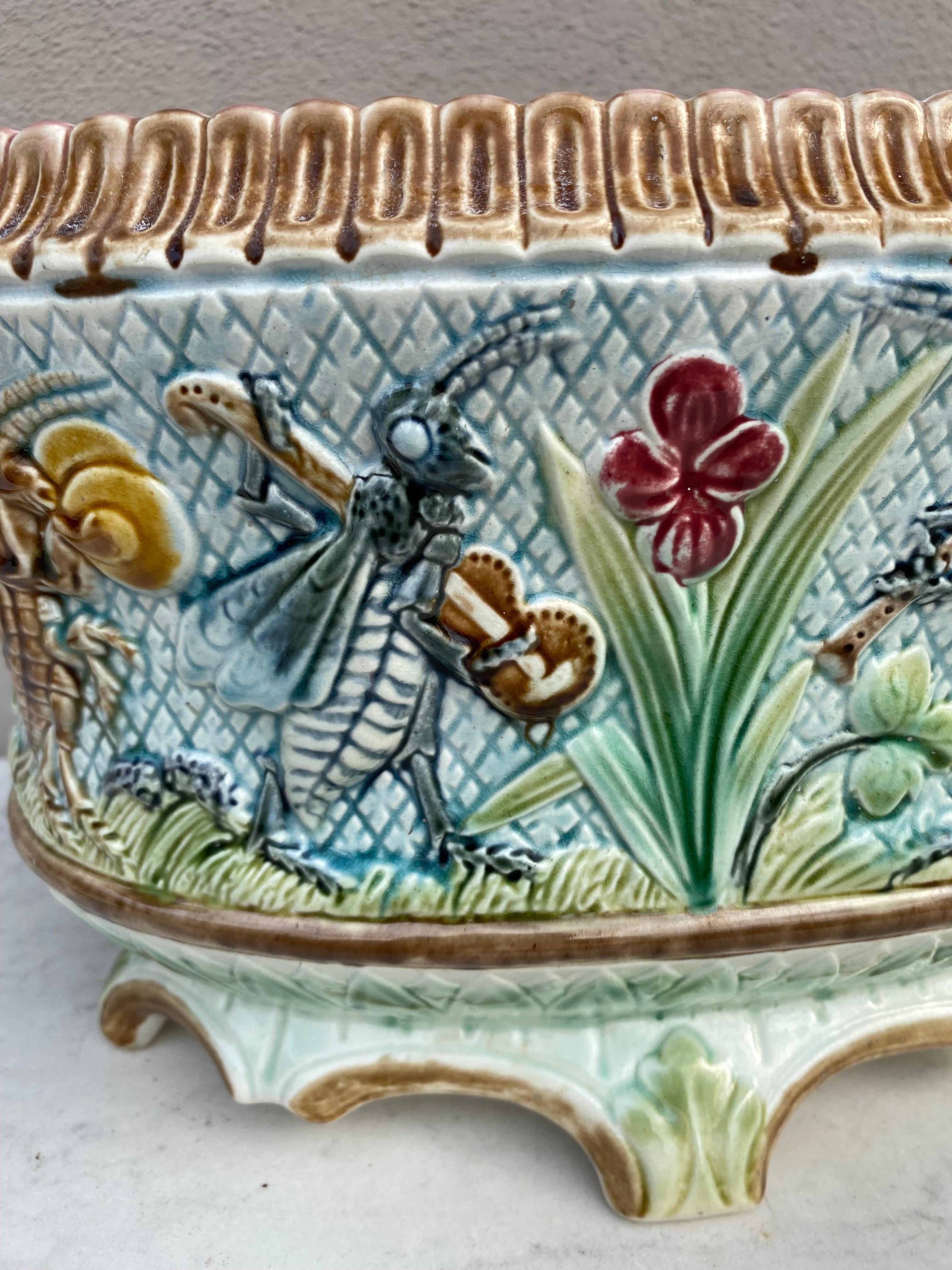 French 19th Century Majolica Insects Musicians Jardinière