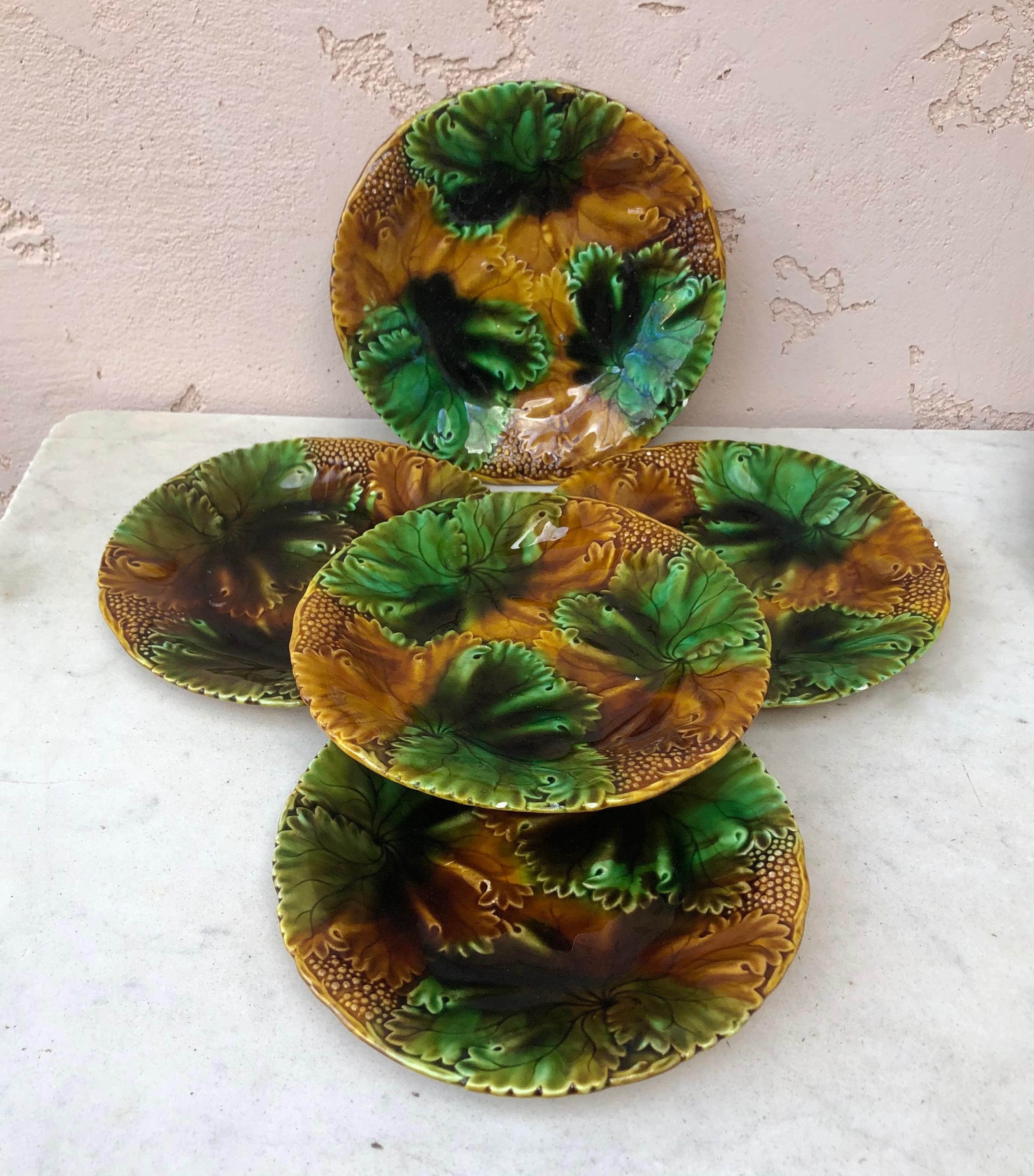 German Majolica leaves plates in green, brown and yellow signed Schramberg, circa 1880.
6 plates available.